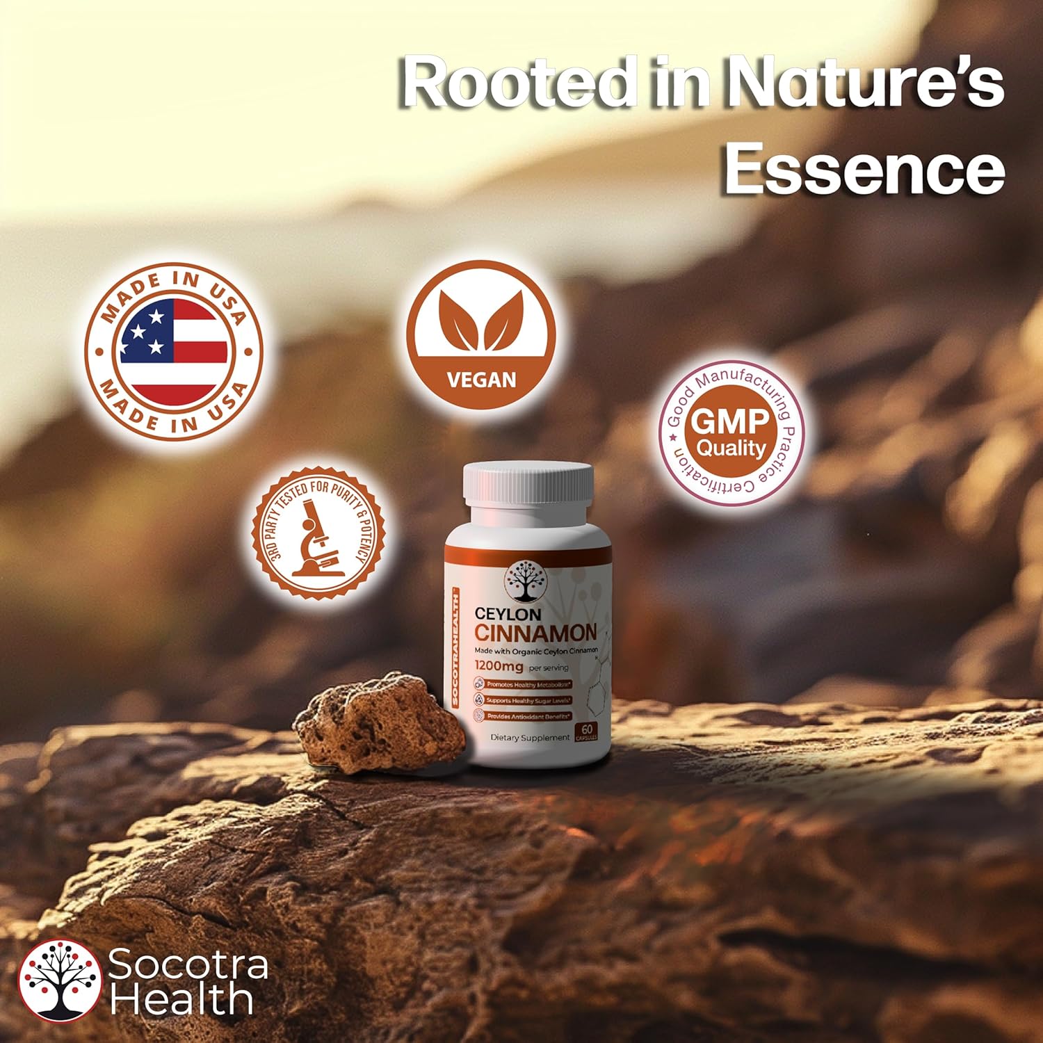 Certified Organic Socotra Health Ceylon Cinnamon Capsules - Non-GMO, Gluten Free, Antioxidant Benefits, Healthy Metabolism Support, Natural Energy Supplement - 60 Vegan Capsules