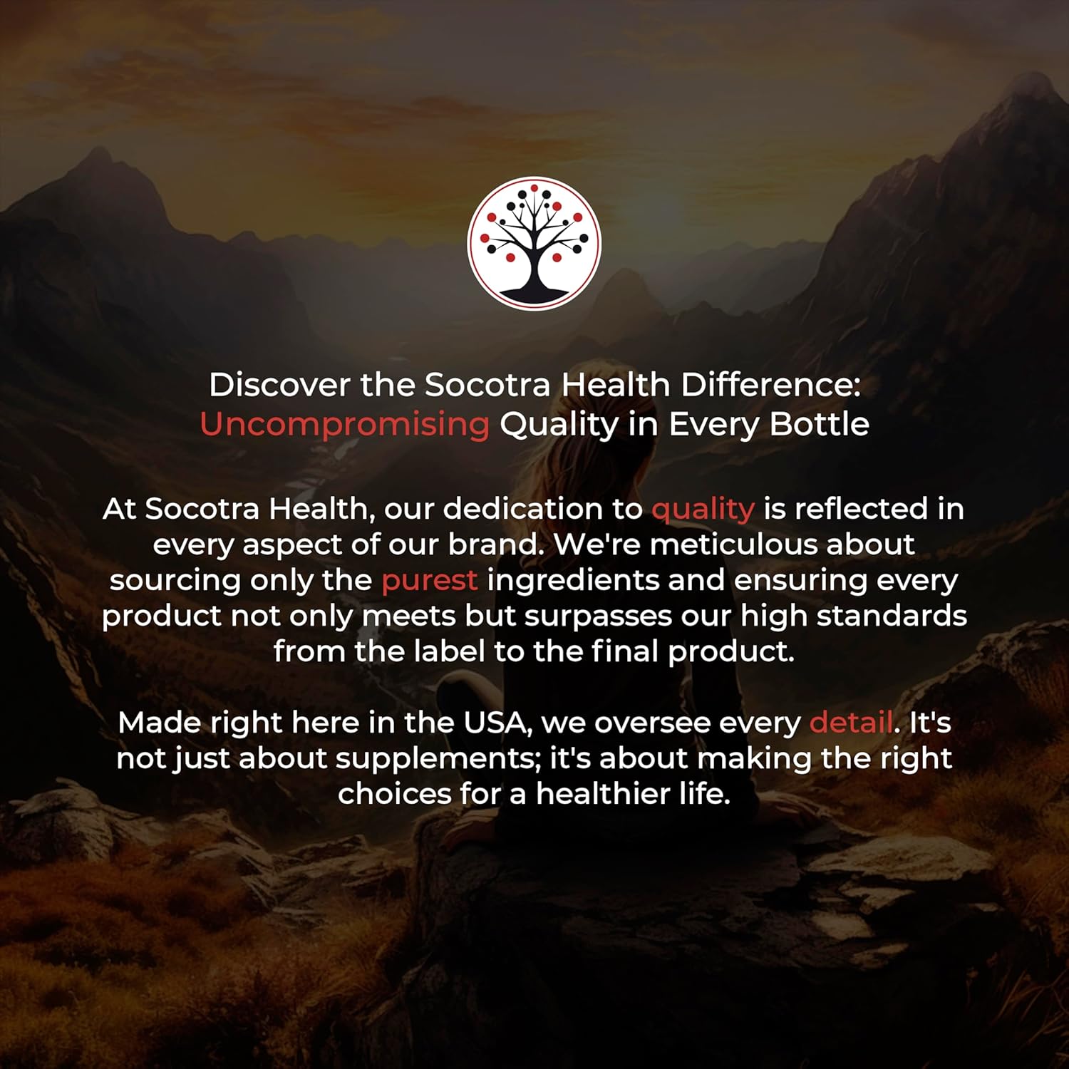 Certified Organic Socotra Health Ceylon Cinnamon Capsules - Non-GMO, Gluten Free, Antioxidant Benefits, Healthy Metabolism Support, Natural Energy Supplement - 60 Vegan Capsules