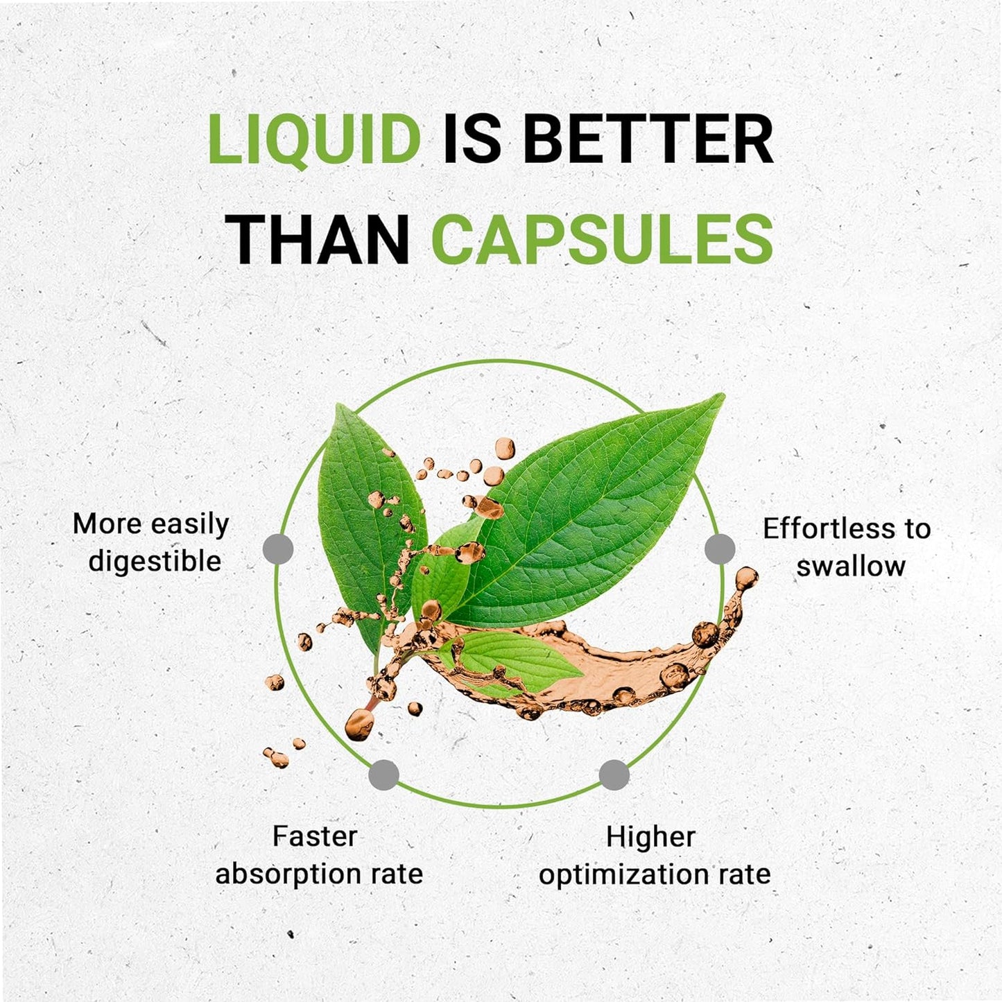 Certified Organic Stinging Nettle Leaf Herbal Drops | Alcohol-Free Extract, High Potency (2 oz)