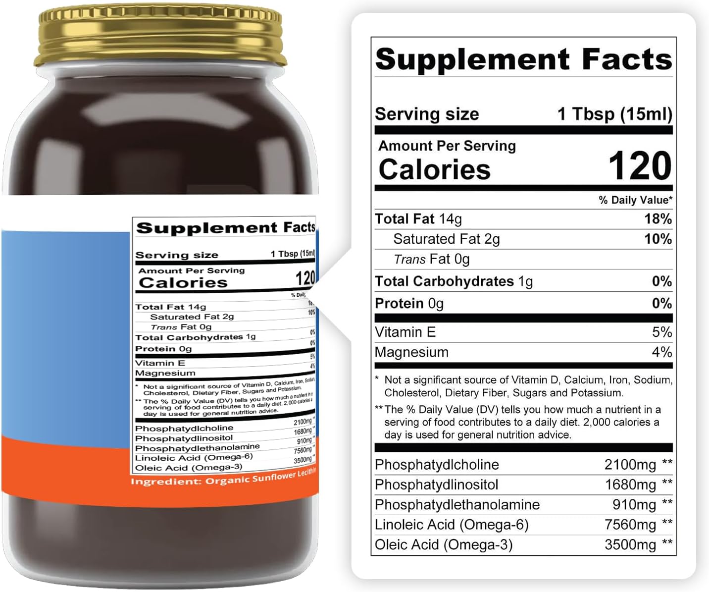 Certified USDA Organic Cold Pressed Sunflower Lecithin Liquid - 16 fl oz - Non-GMO Project Verified