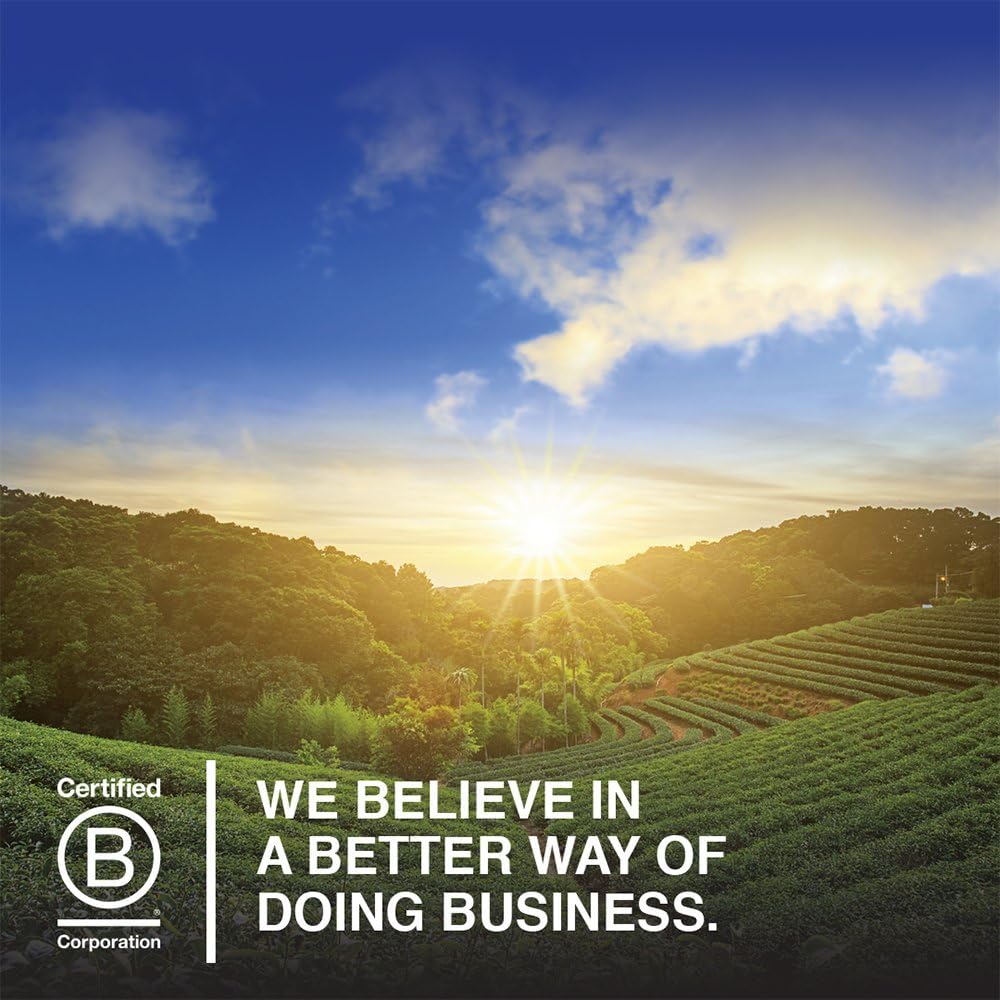 Certified Vegan Vanilla Protein Powder with Probiotics & Enzymes - Organic, Non-GMO, Plant Based, Gluten Free Shake with 22g Protein & 4g BCAAs (20 Servings)