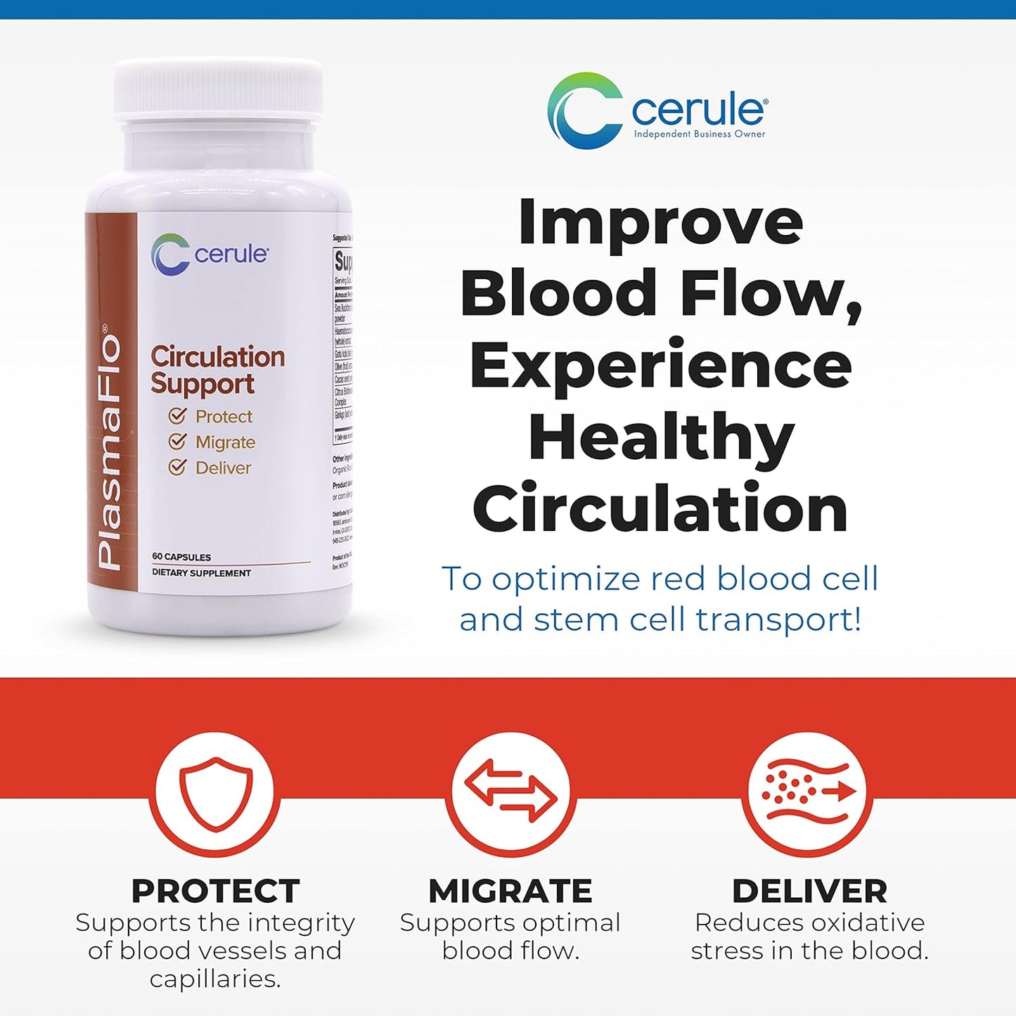 Cerule Plasmaflo Blood Flow Supplement for Vascular Health with Enzyme Blend, Gotu Kola, Ginkgo Biloba - Support Circulation in Veins & Heart