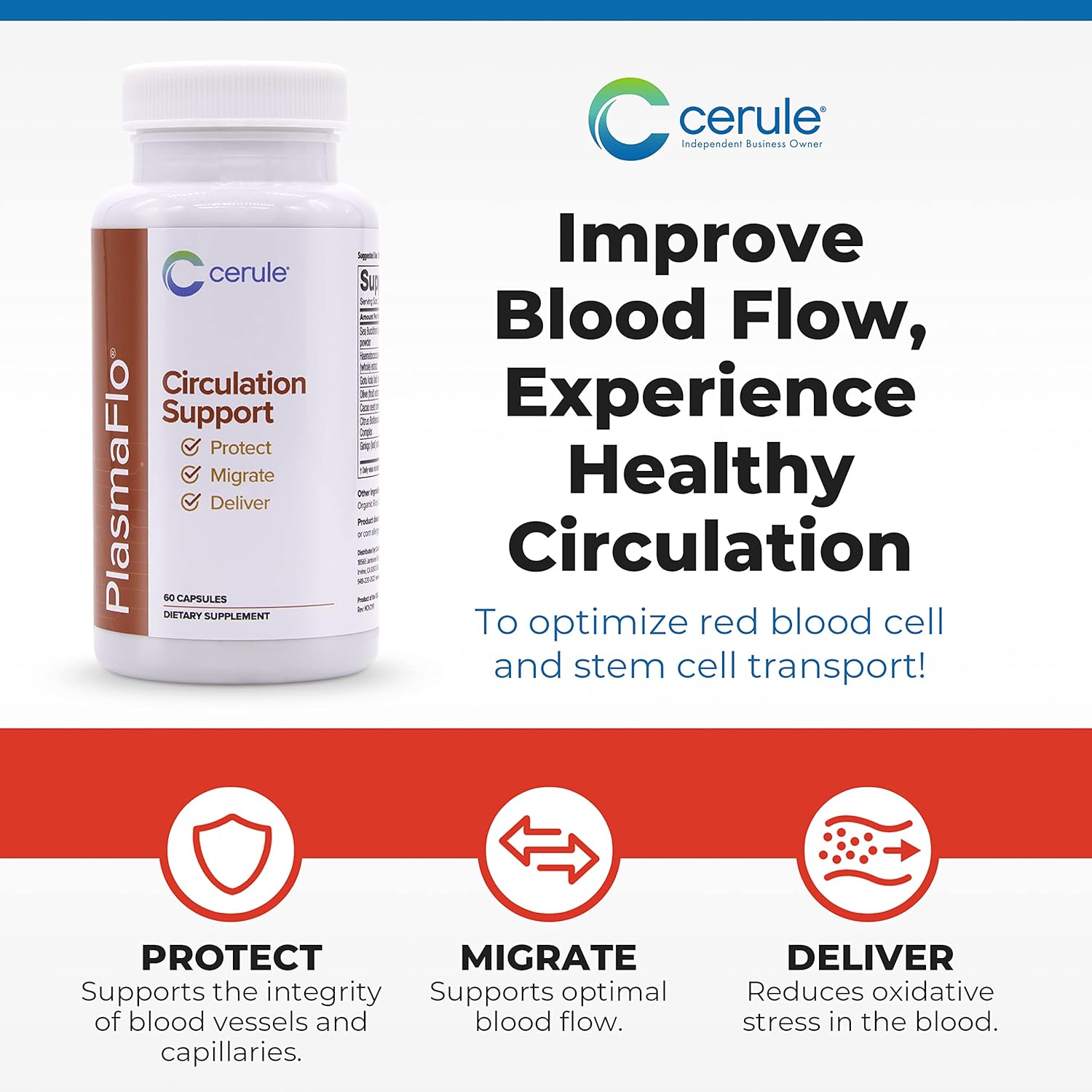 Cerule Plasmaflo Blood Flow Supplement for Vascular Health with Enzyme Blend, Gotu Kola, Ginkgo Biloba - Support Circulation in Veins & Heart