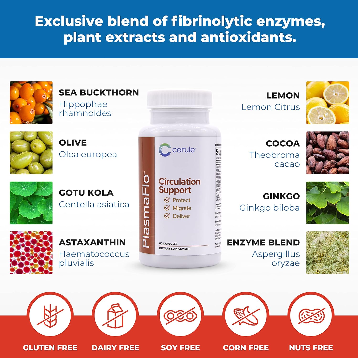 Cerule Plasmaflo Blood Flow Supplement for Vascular Health with Enzyme Blend, Gotu Kola, Ginkgo Biloba - Support Circulation in Veins & Heart