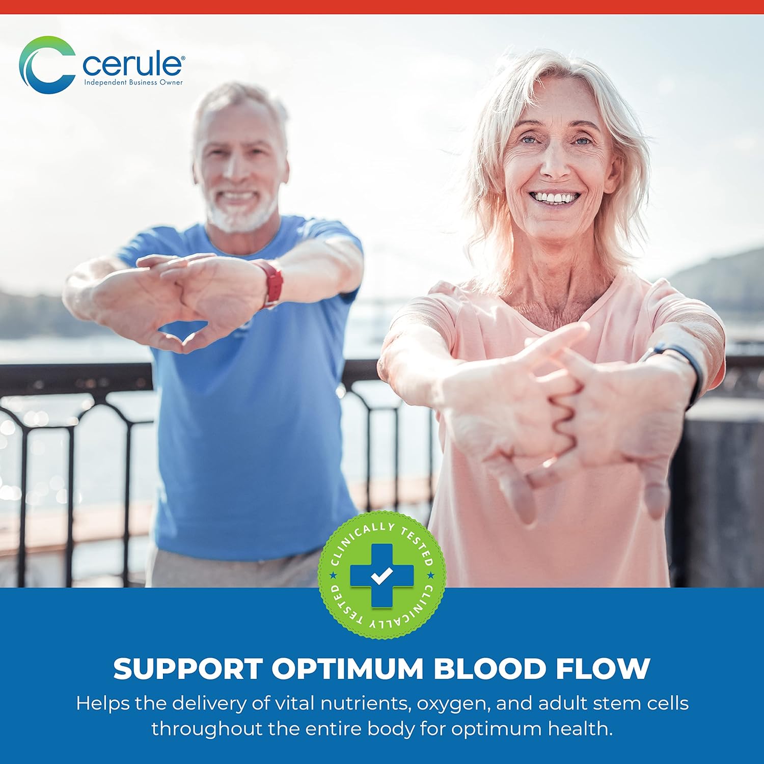 Cerule Plasmaflo Blood Flow Supplement for Vascular Health with Enzyme Blend, Gotu Kola, Ginkgo Biloba - Support Circulation in Veins & Heart