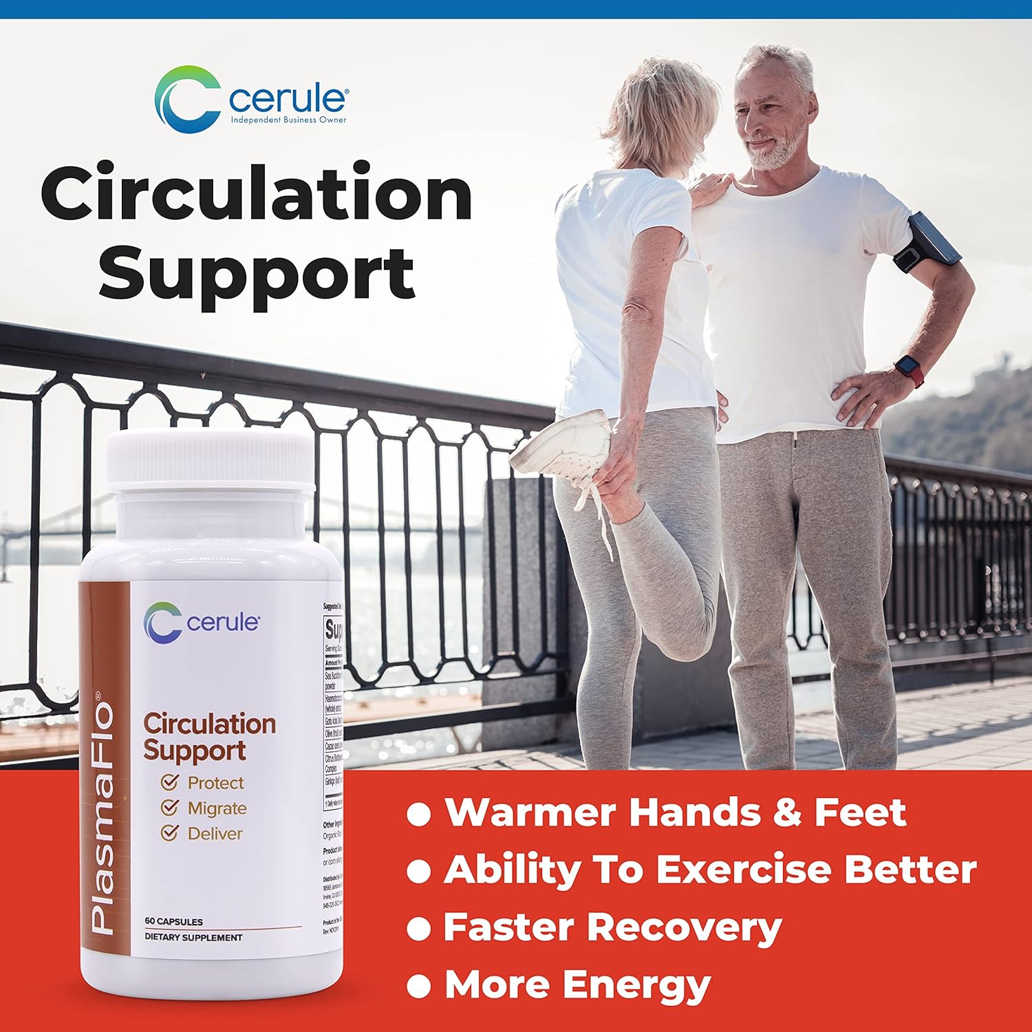 Cerule Plasmaflo Blood Flow Supplement for Vascular Health with Enzyme Blend, Gotu Kola, Ginkgo Biloba - Support Circulation in Veins & Heart