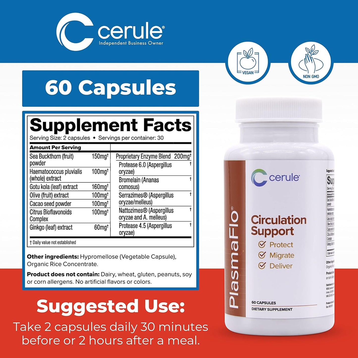 Cerule Plasmaflo Blood Flow Supplement for Vascular Health with Enzyme Blend, Gotu Kola, Ginkgo Biloba - Support Circulation in Veins & Heart