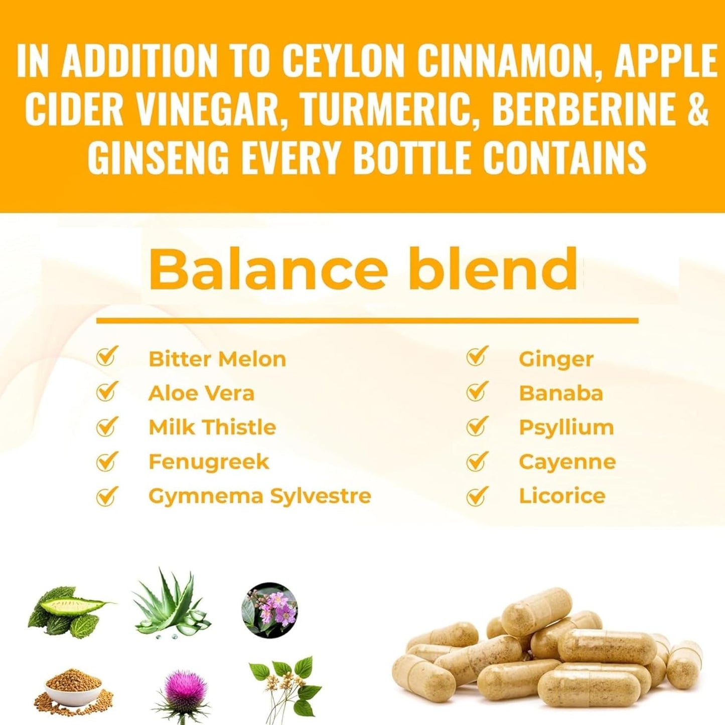 Ceylon Cinnamon Capsules with Berberine, Apple Cider Vinegar, Turmeric, Ginseng, Zinc, Milk Thistle, Bitter Melon, Fenugreek & More - 4000mg