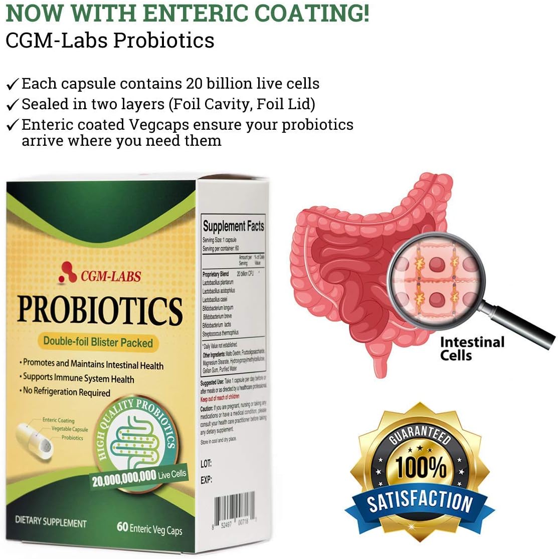 CGMLABS Probiotics 20 Billion Live Cells Enteric Coated Veg Capsules for Men and Women - 60 Caps by CGM Labs