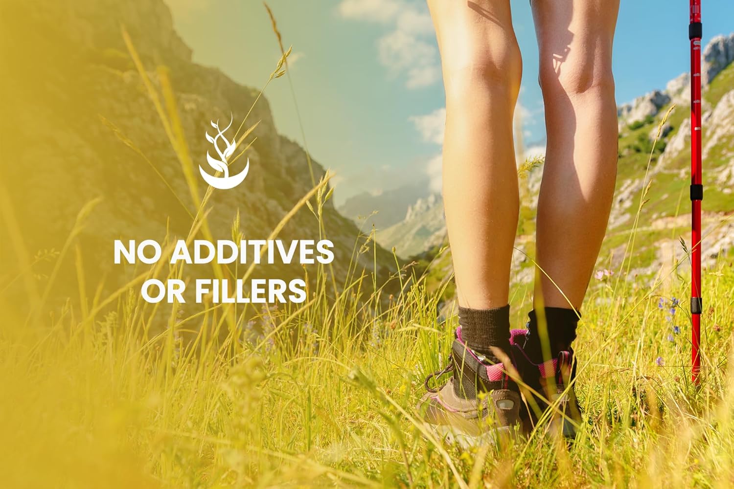 Chamomile Extract Capsules - 365 Count, Pure Ingredients, No Fillers, Lab Verified