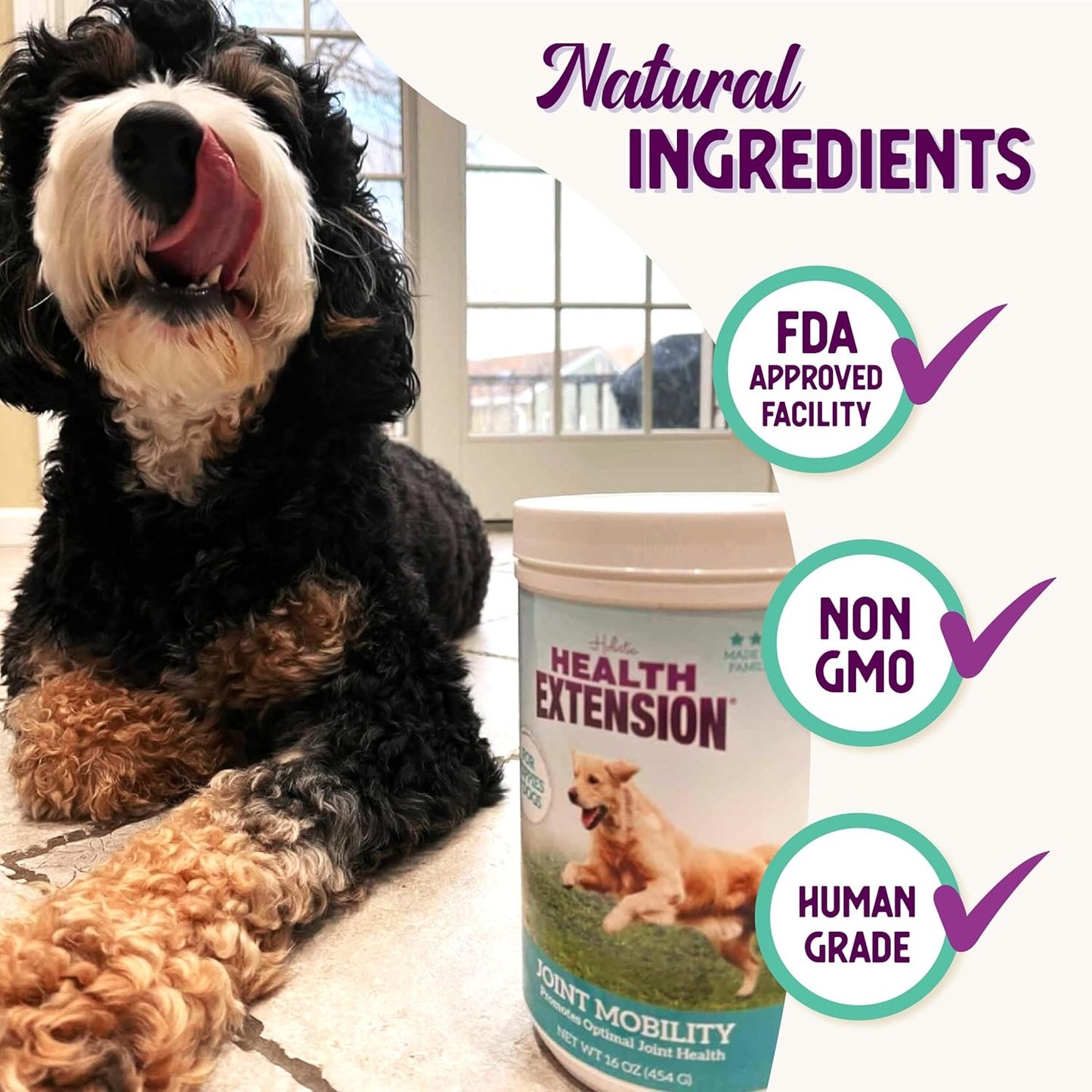Cheese Flavored Dog Joint & Hip Supplement Powder with Chondroitin and Glucosamine for Arthritis Pain Relief - 8 Oz / 226 g
