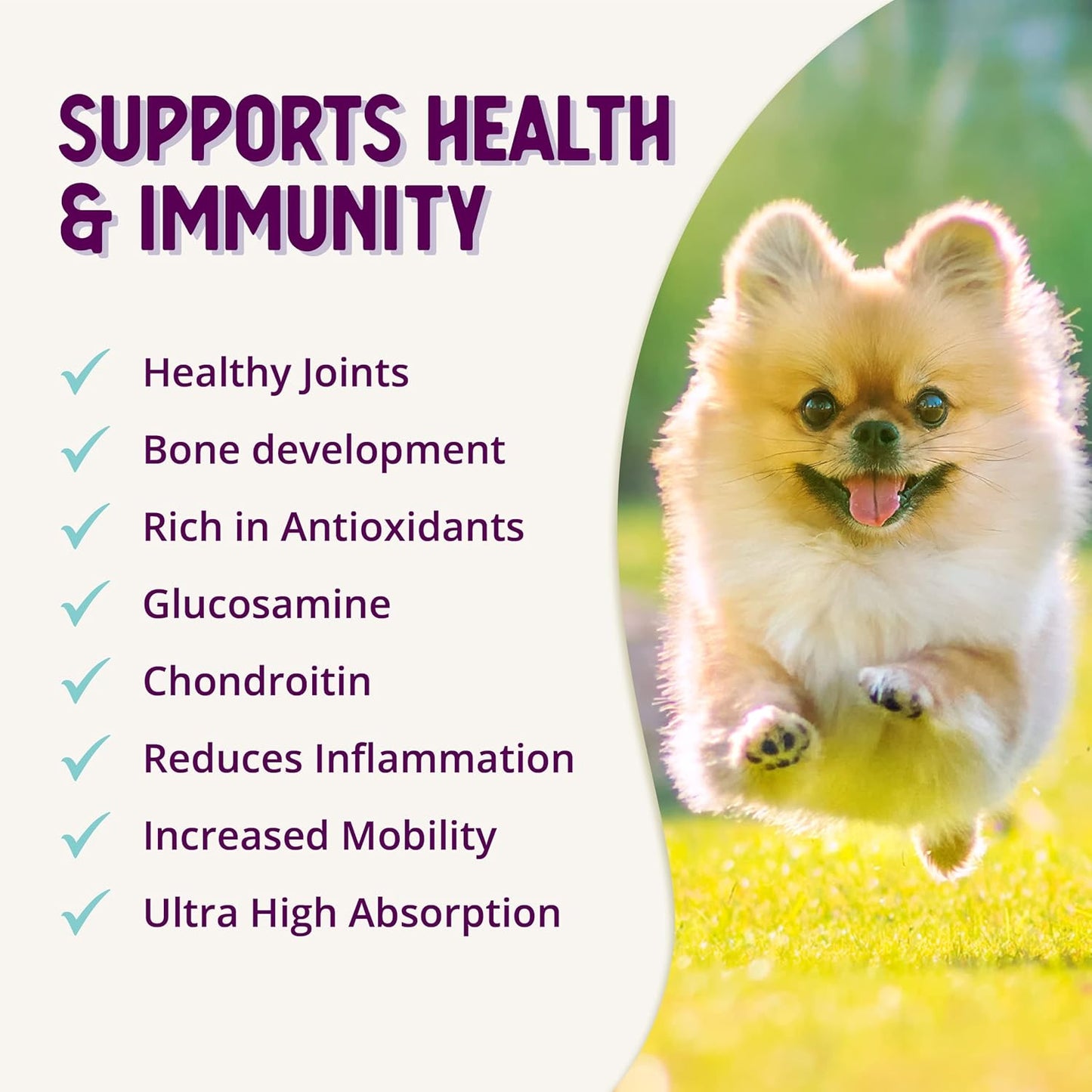 Cheese Flavored Dog Joint & Hip Supplement Powder with Chondroitin and Glucosamine for Arthritis Pain Relief - 8 Oz / 226 g