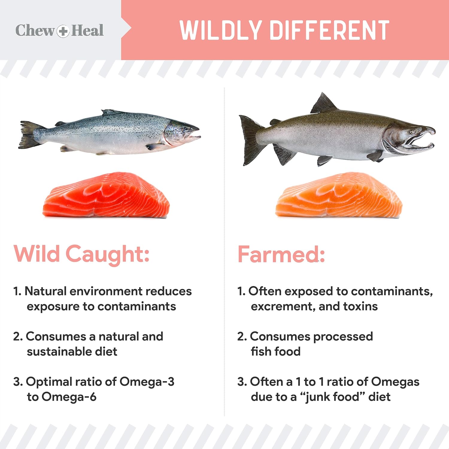 Chew + Heal Labs Wild Alaskan Salmon Fish Oil for Dogs - 16 oz. Pump Cap Bottle with Omega-3, 6, Vitamin D, EPA, DHA for Healthy Skin & Coat