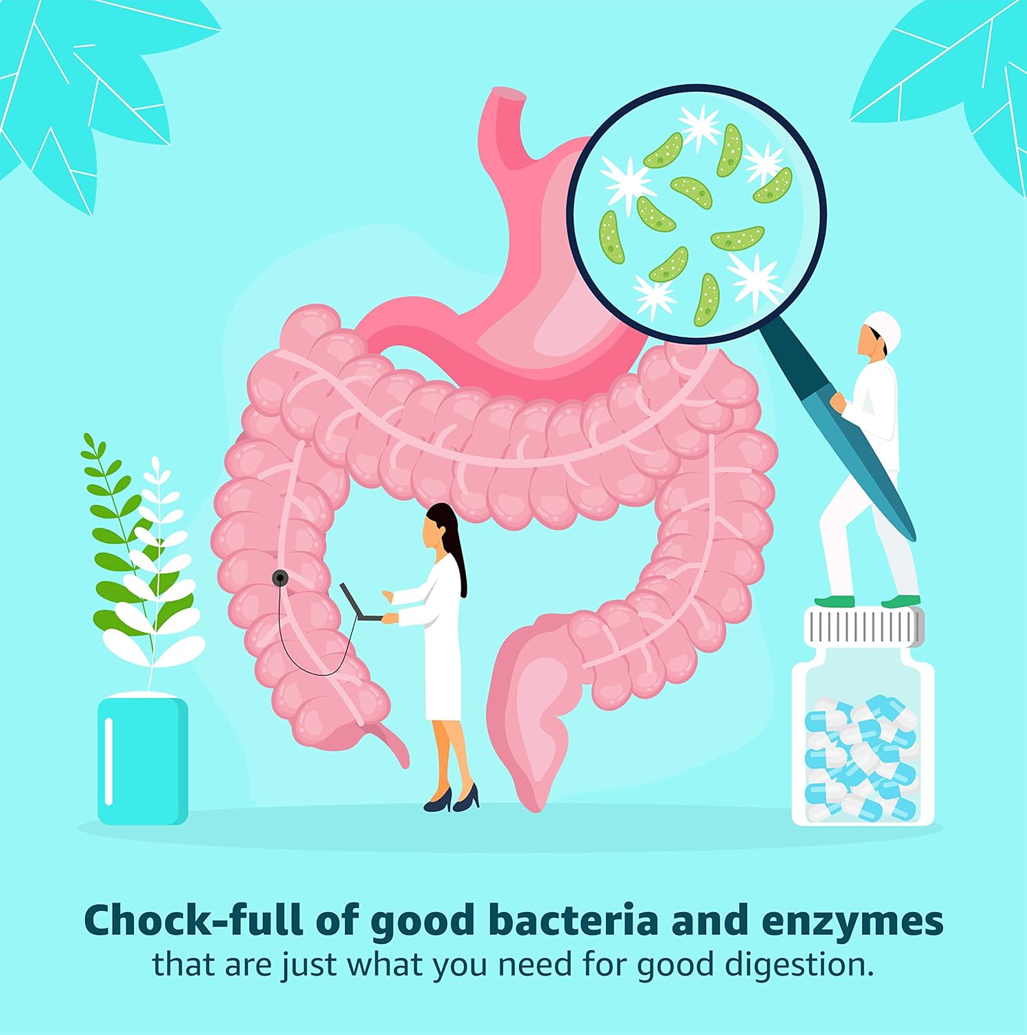 Chewable Chocolate Probiotic Capsules with Multi-Enzymes for Digestive Health - 60 Ct