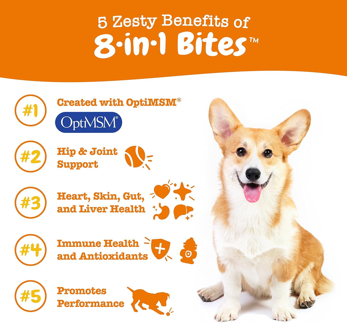 Chewable Dog Multivitamin with Omega 3 Fish Oil for Joints, Skin, and Coat - Peanut Butter Flavor - 90 Count