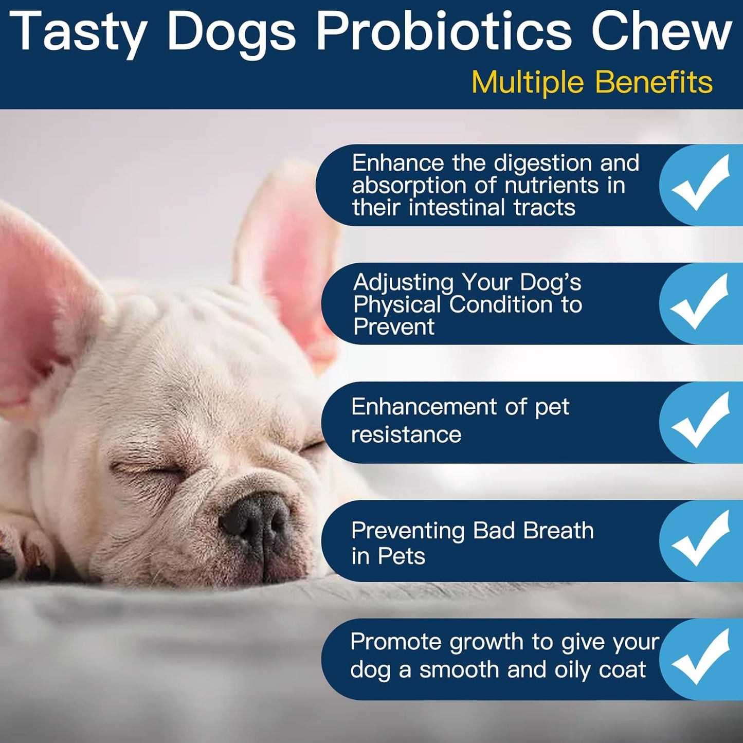 Chewable Dog Probiotic Chews with Prebiotics for Gut Health, Immunity, and Skin Support
