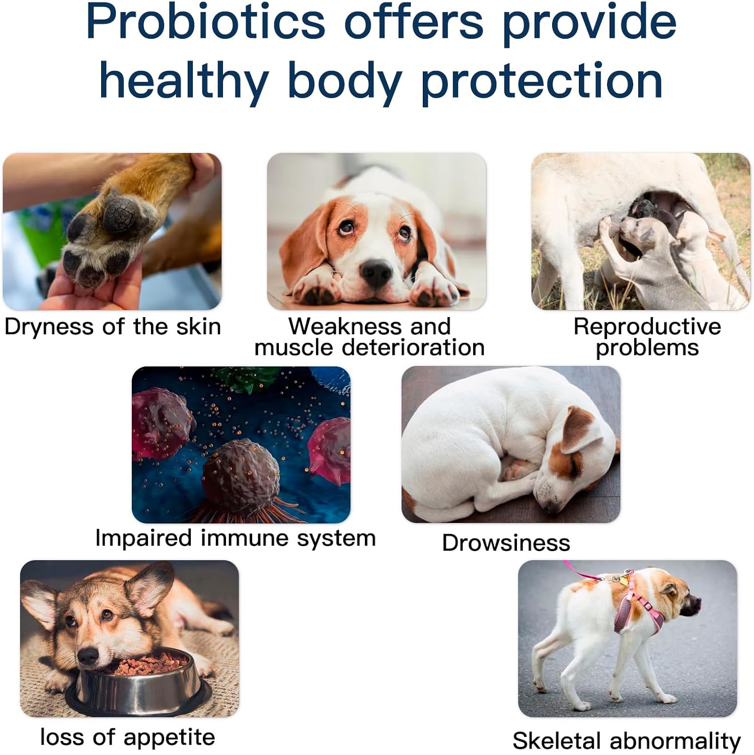 Chewable Dog Probiotic Chews with Prebiotics for Gut Health, Immunity, and Skin Support