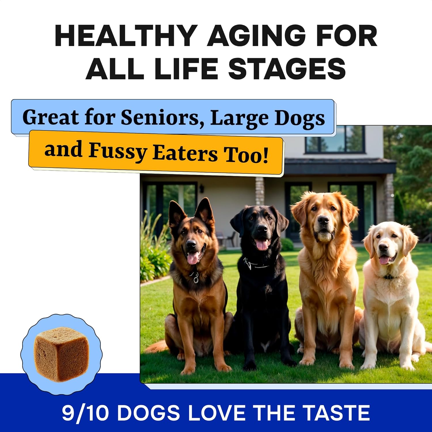 Chewable Dog Vitamins & Supplements with Glucosamine, Omega, Probiotics - Supports Skin, Coat, Hip, Joint, Gut Health - For Adult & Senior Dogs, Small & Large Breeds - 120 Ct Beef Flavor