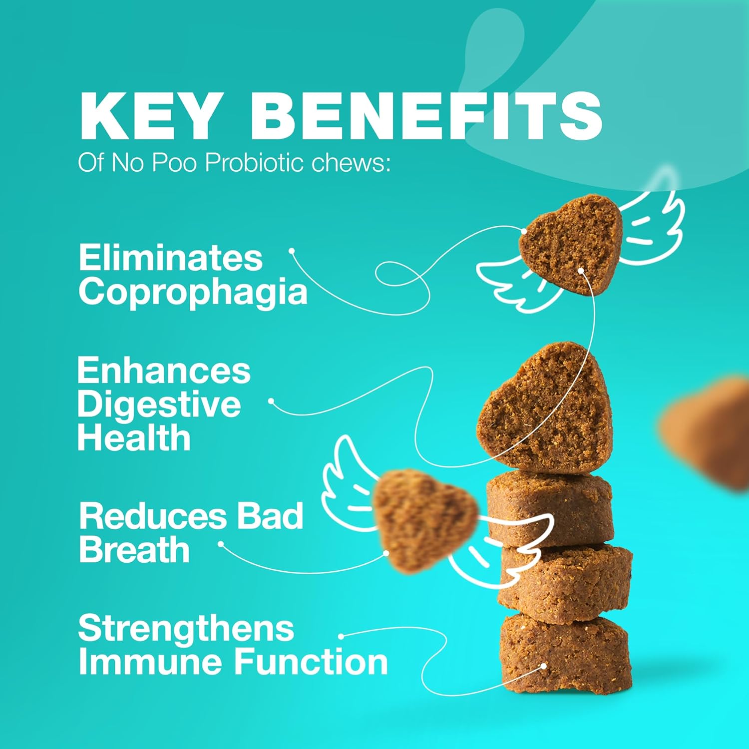 Chewable Probiotic Supplement for Dogs - Supports Digestion for All Breeds - Pet Supplies by CHEWIA