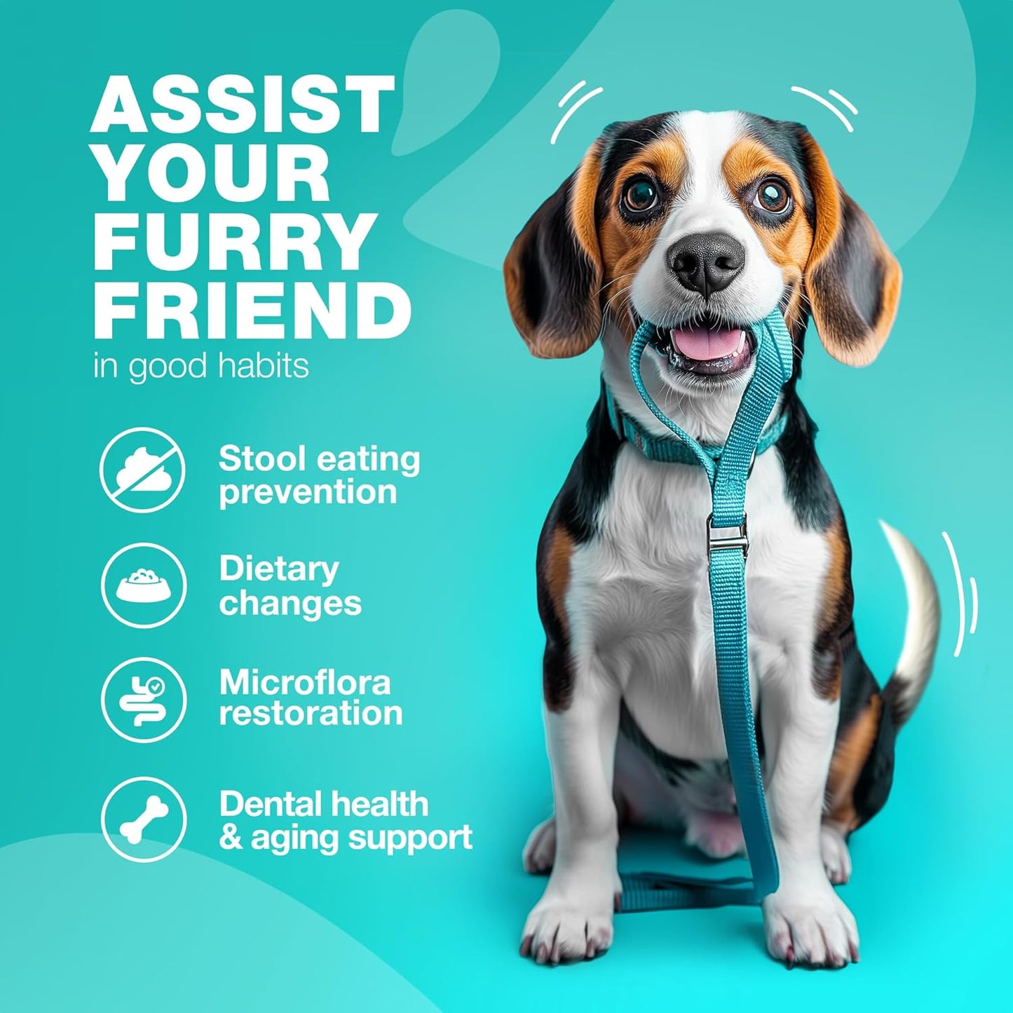 Chewable Probiotic Supplement for Dogs - Supports Digestion for All Breeds - Pet Supplies by CHEWIA