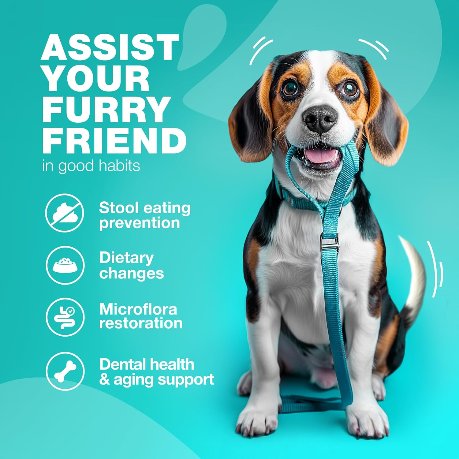 Chewable Probiotic Supplement for Dogs - Supports Digestion for All Breeds - Pet Supplies by CHEWIA