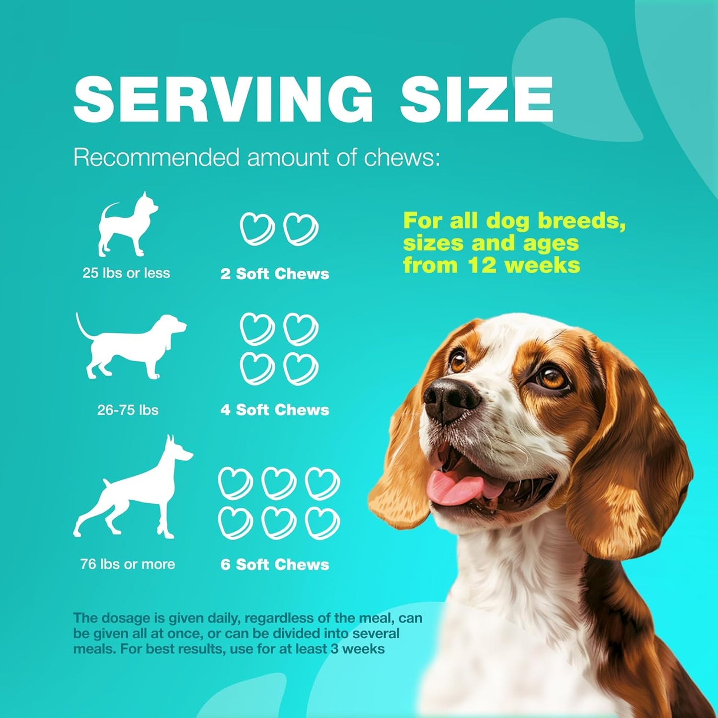 Chewable Probiotic Supplement for Dogs - Supports Digestion for All Breeds - Pet Supplies by CHEWIA