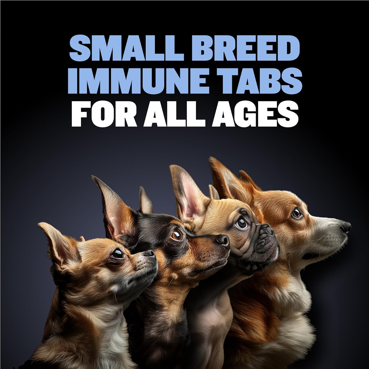 Chewable Small Breed Dog Immune Support Tablets with Astaxanthin, Colostrum, Turmeric - Pet Vitamins for Puppy & Adult Dogs - 30 Tablets