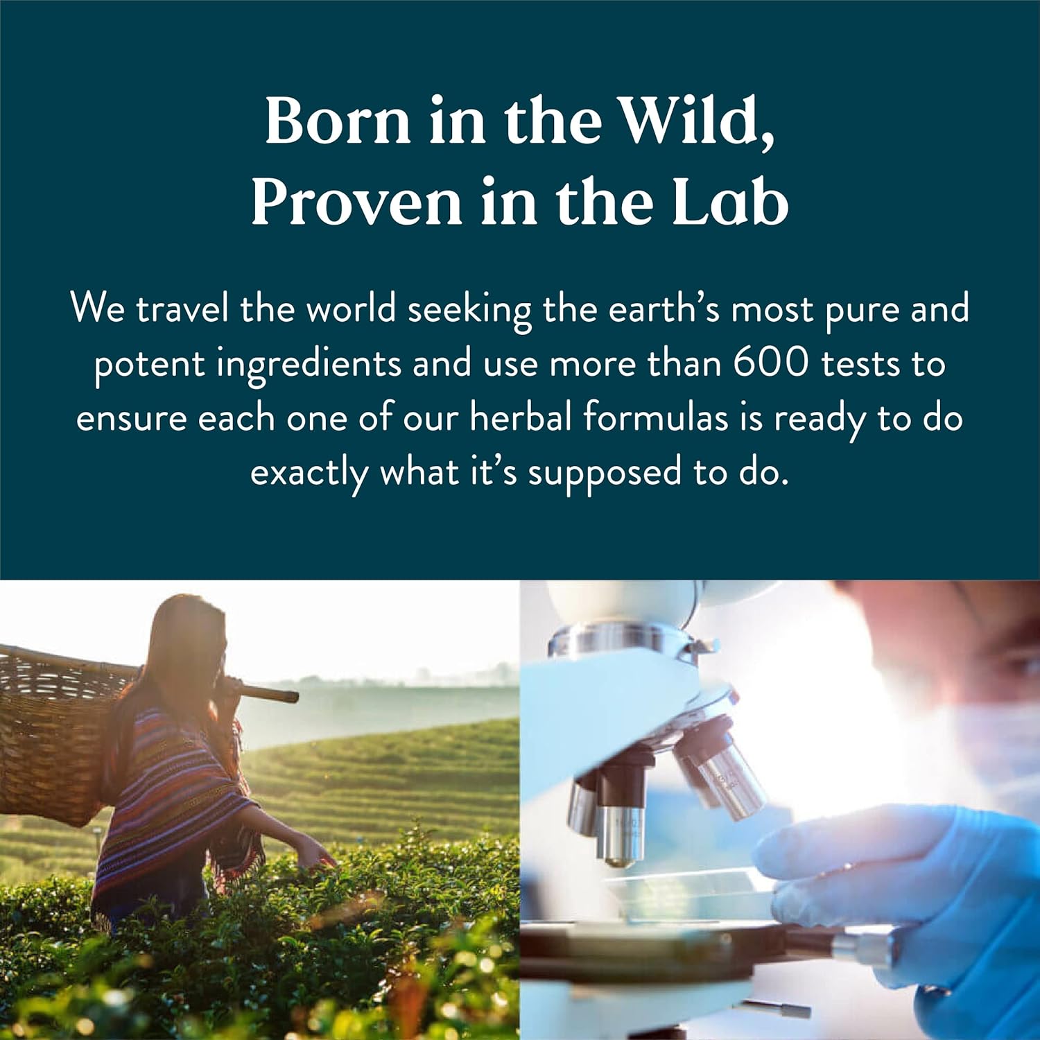 Chewable Vitamin C Tablets - 90 Count - 250mg - Nature's Sunshine