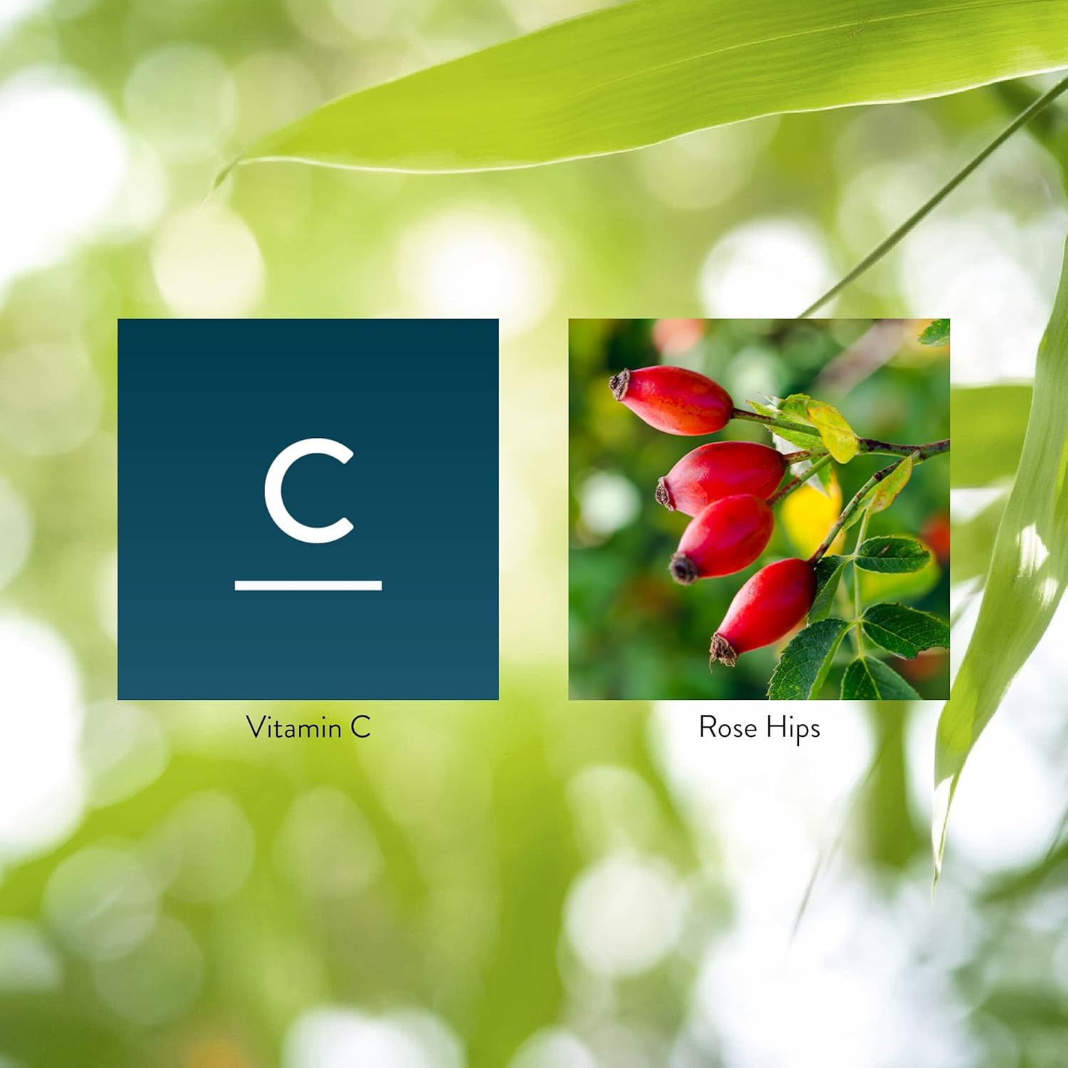 Chewable Vitamin C Tablets - 90 Count - 250mg - Nature's Sunshine