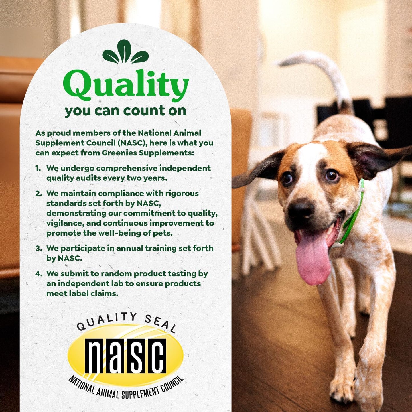 Chicken Flavor Greenies Digestive Health Probiotics Soft Chews for Dogs - 80 ct. Tub, 15.6 oz.