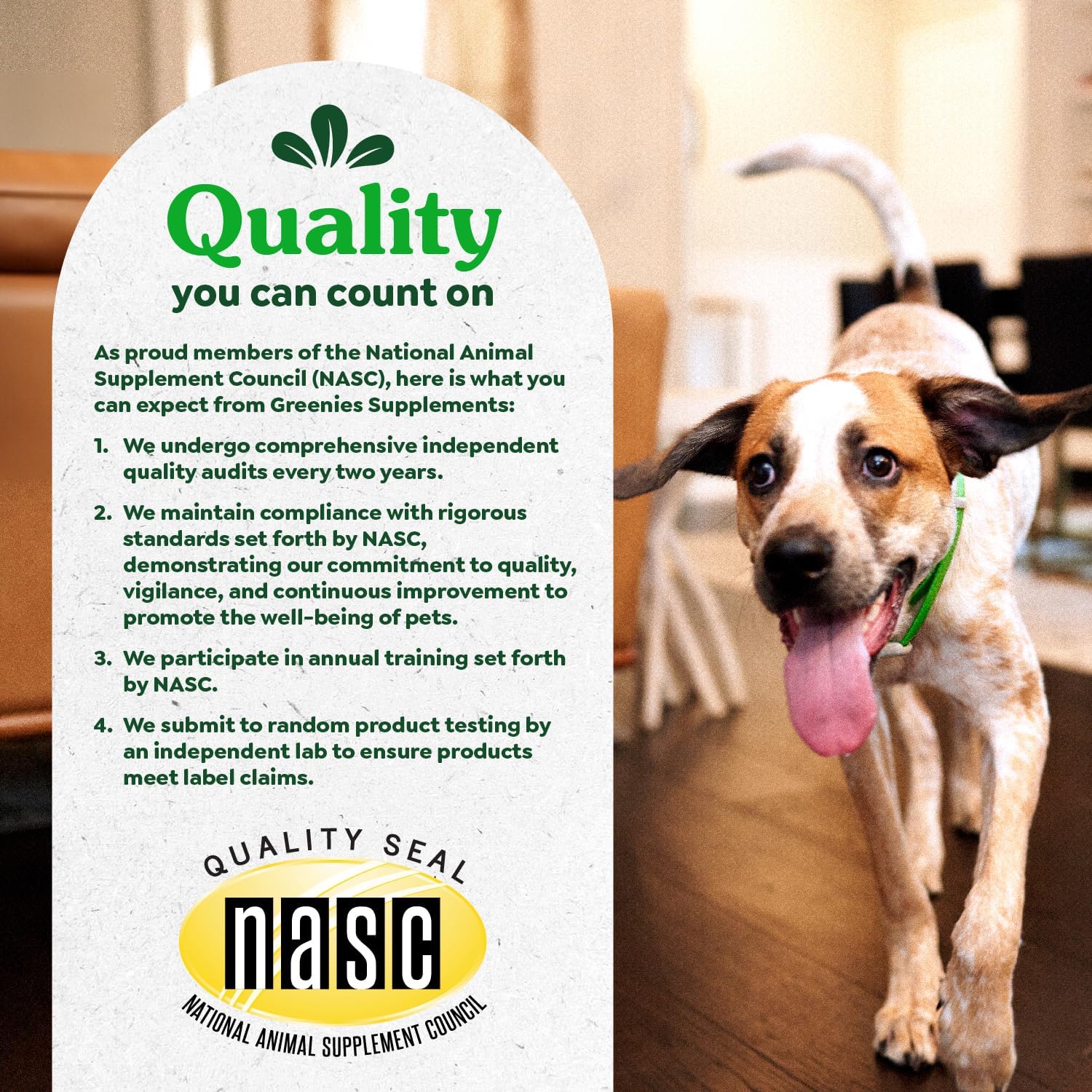 Chicken Flavor Greenies Digestive Health Probiotics Soft Chews for Dogs - 80 ct. Tub, 15.6 oz.