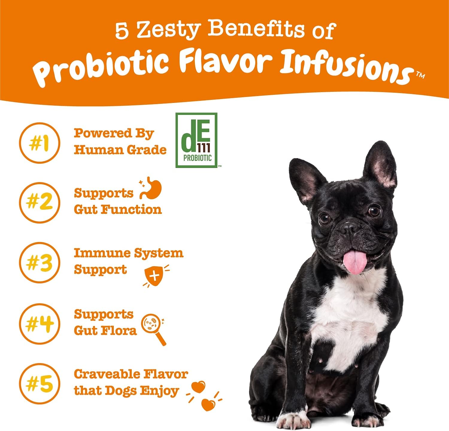 Chicken Flavor Probiotic Infusions for Dogs - 500 Million CFU for Gut Health & Immune Support
