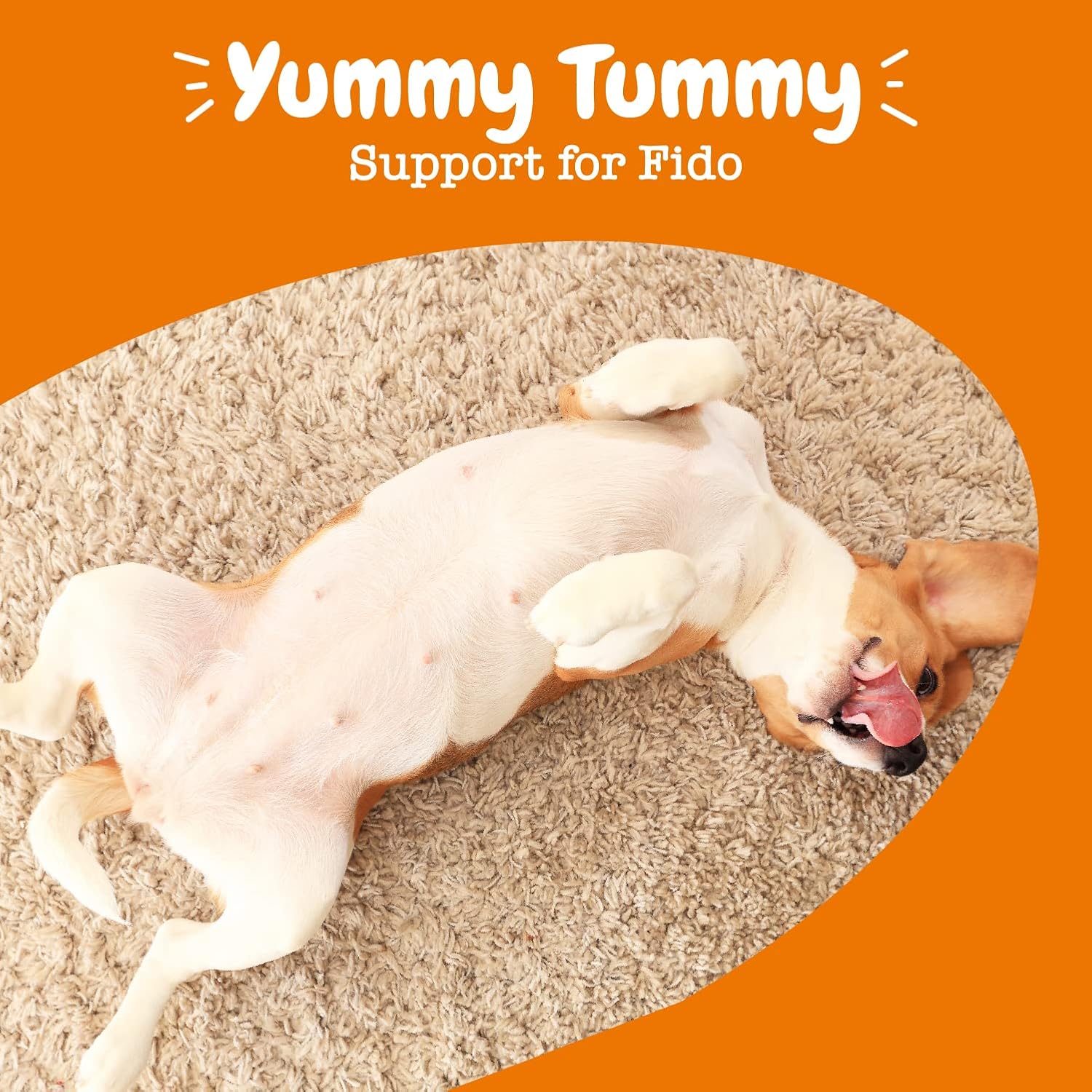 Chicken Flavor Probiotic Infusions for Dogs - 500 Million CFU for Gut Health & Immune Support