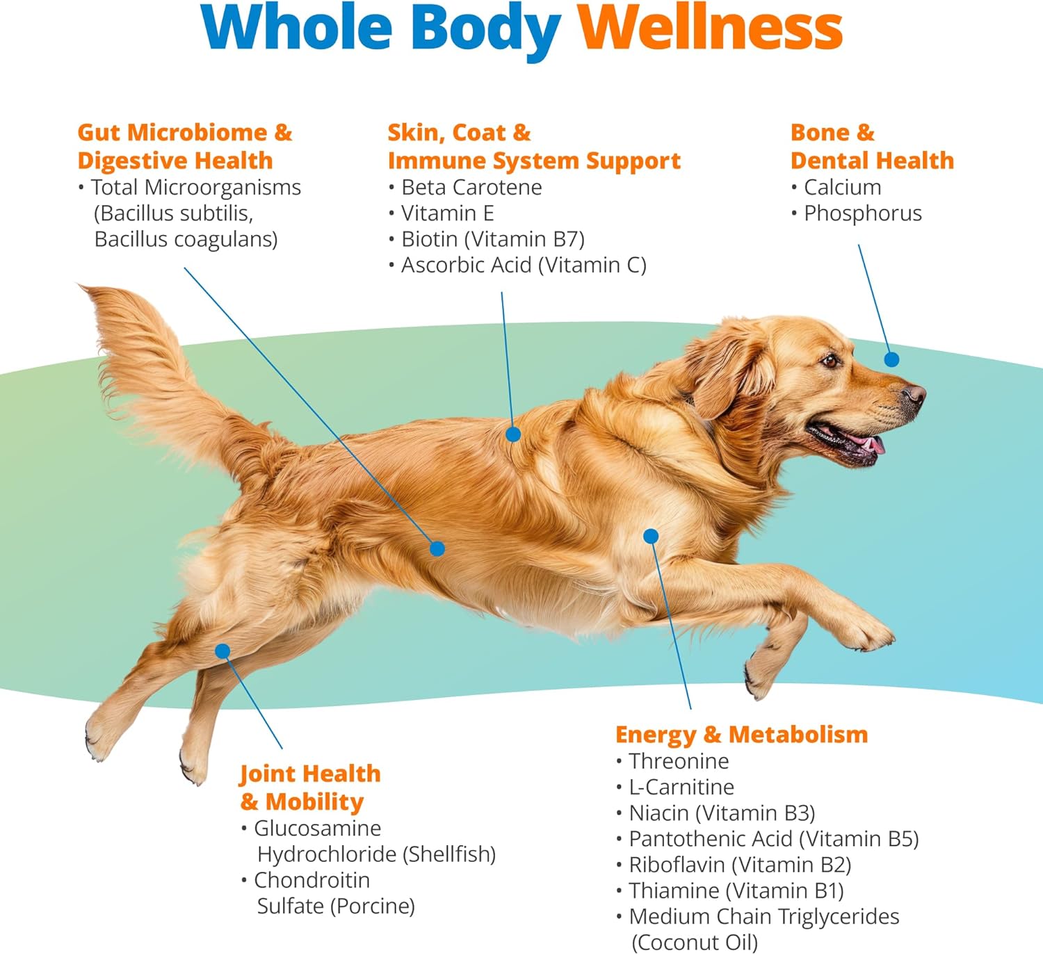 Chicken Flavored Dog Multivitamin Chews with 10-in-1 Vitamins & Postbiotics for Digestion, Brain, Organs, Heart, Mobility, Vision, Skin & Coat, Immune Health - All Ages & Breeds - 90ct