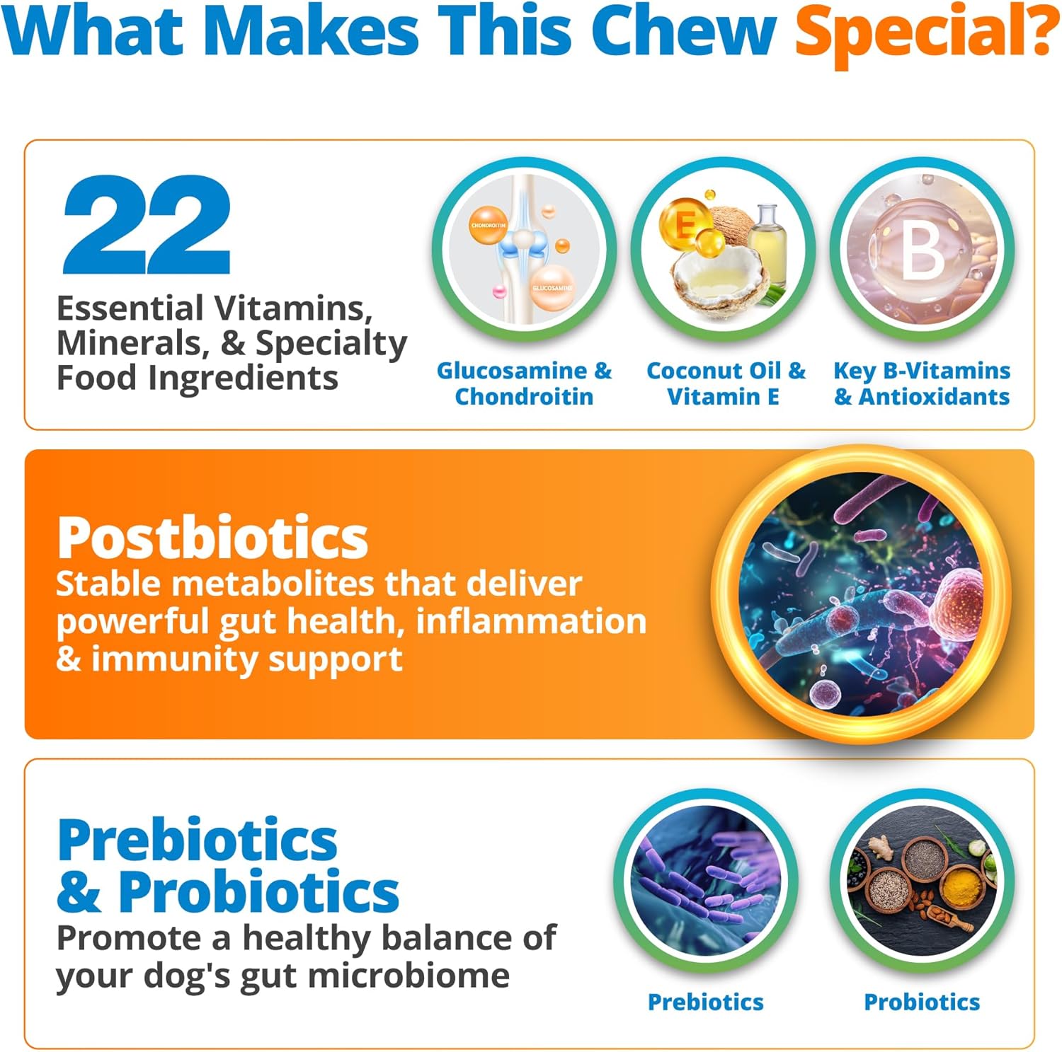 Chicken Flavored Dog Multivitamin Chews with 10-in-1 Vitamins & Postbiotics for Digestion, Brain, Organs, Heart, Mobility, Vision, Skin & Coat, Immune Health - All Ages & Breeds - 90ct