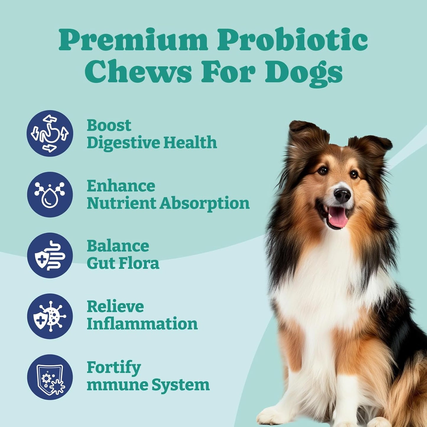 Chicken Flavored Dog Probiotics with Enzymes for Gut Health - 120 Soft Chews for Immune Support & Yeast Balance