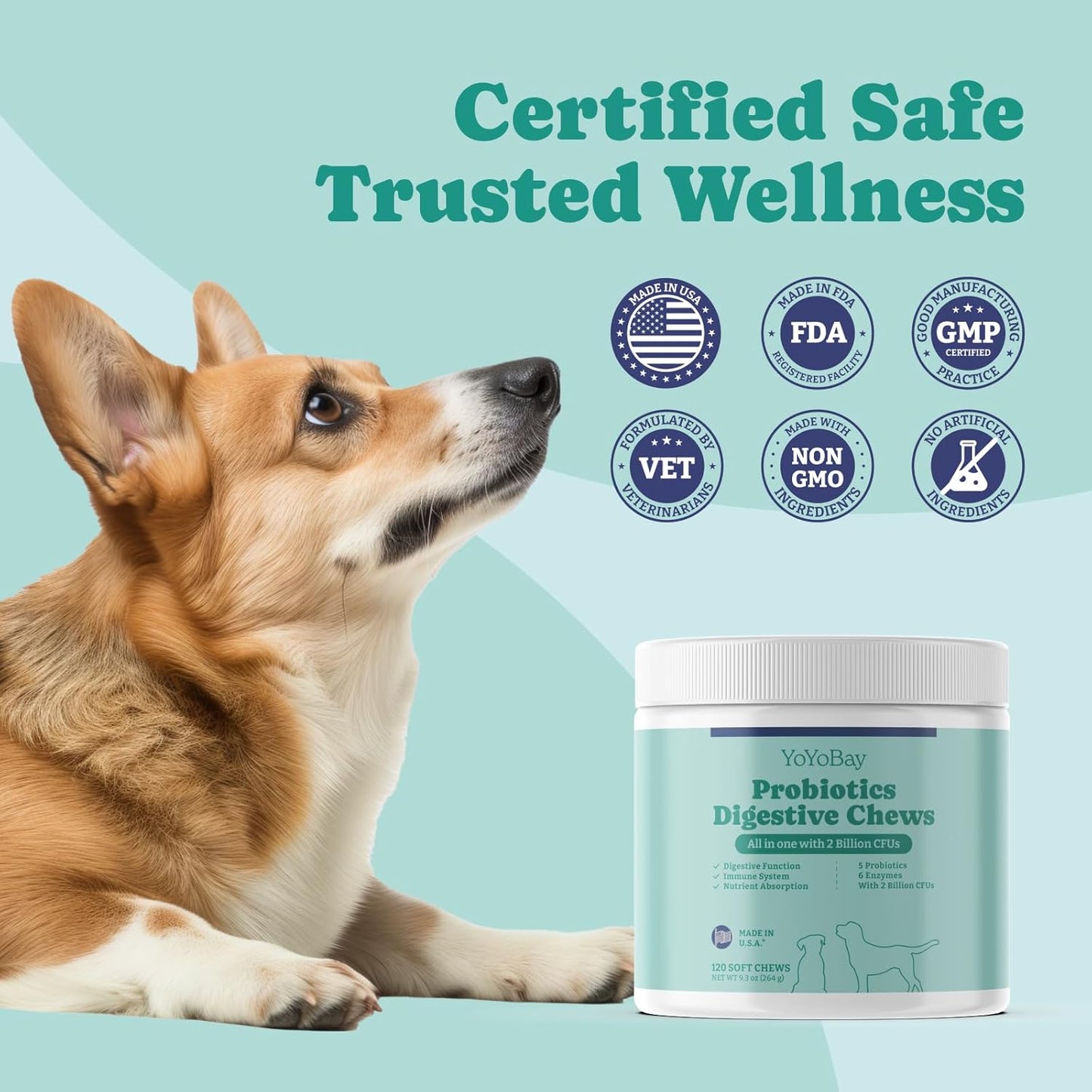 Chicken Flavored Dog Probiotics with Enzymes for Gut Health - 120 Soft Chews for Immune Support & Yeast Balance