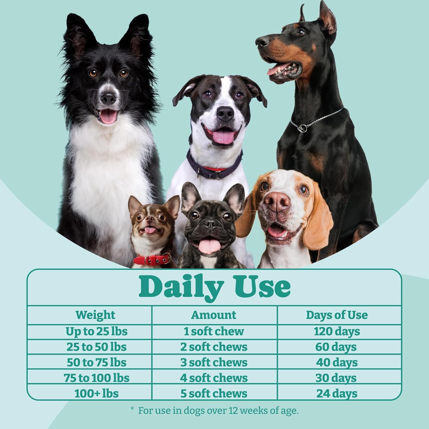 Chicken Flavored Dog Probiotics with Enzymes for Gut Health - 120 Soft Chews for Immune Support & Yeast Balance