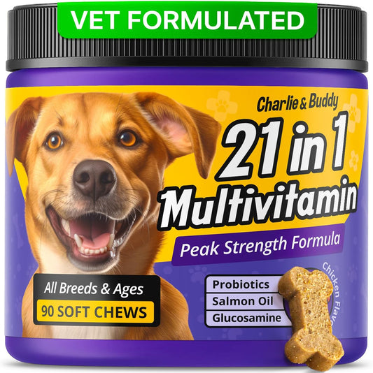Chicken Flavour Dog Multivitamin Soft Chews - 90ct - 21 in 1 Dog Vitamins with Vitamin C for Dogs - Buddy & Charlie Supplement