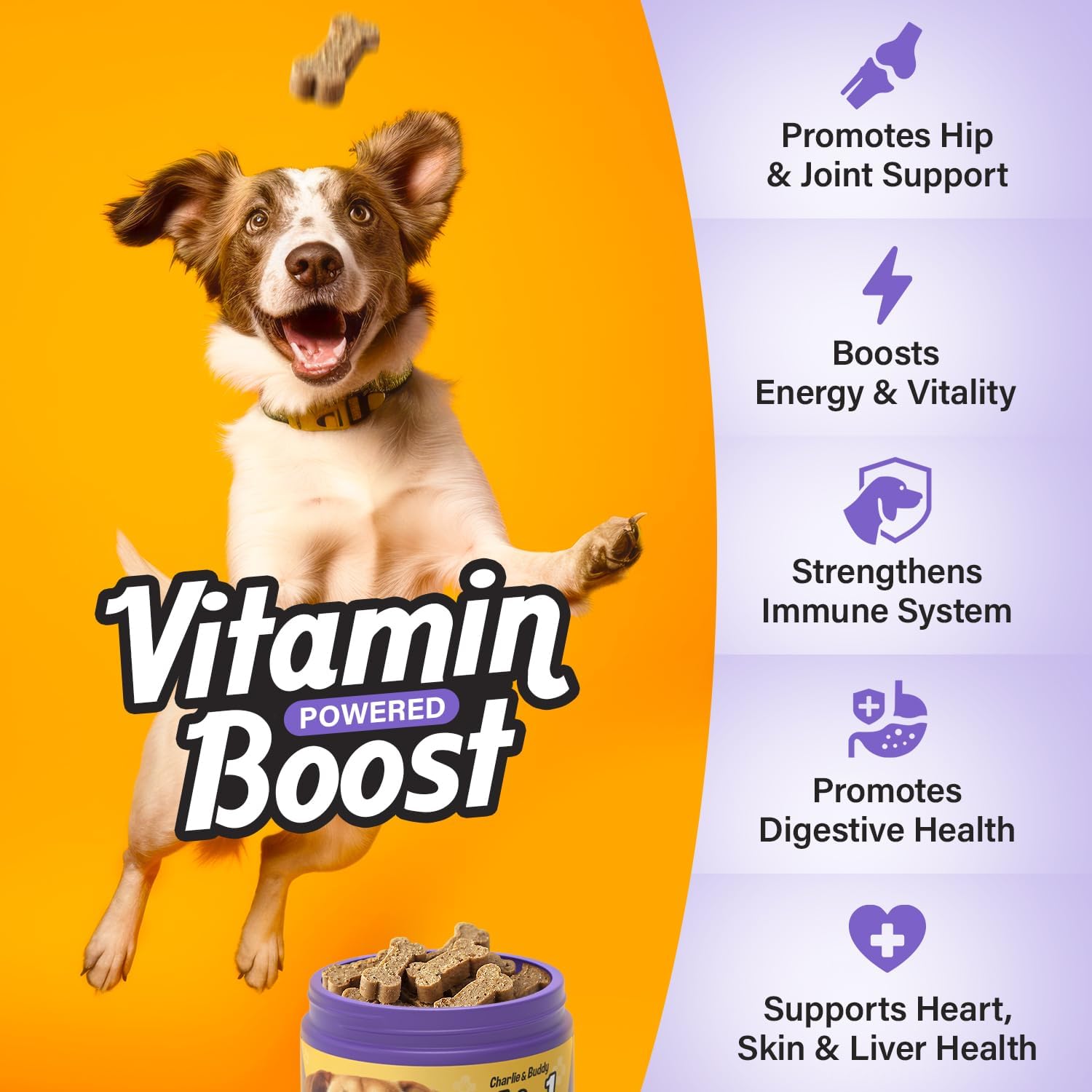 Chicken Flavour Dog Multivitamin Soft Chews - 90ct - 21 in 1 Dog Vitamins with Vitamin C for Dogs - Buddy & Charlie Supplement