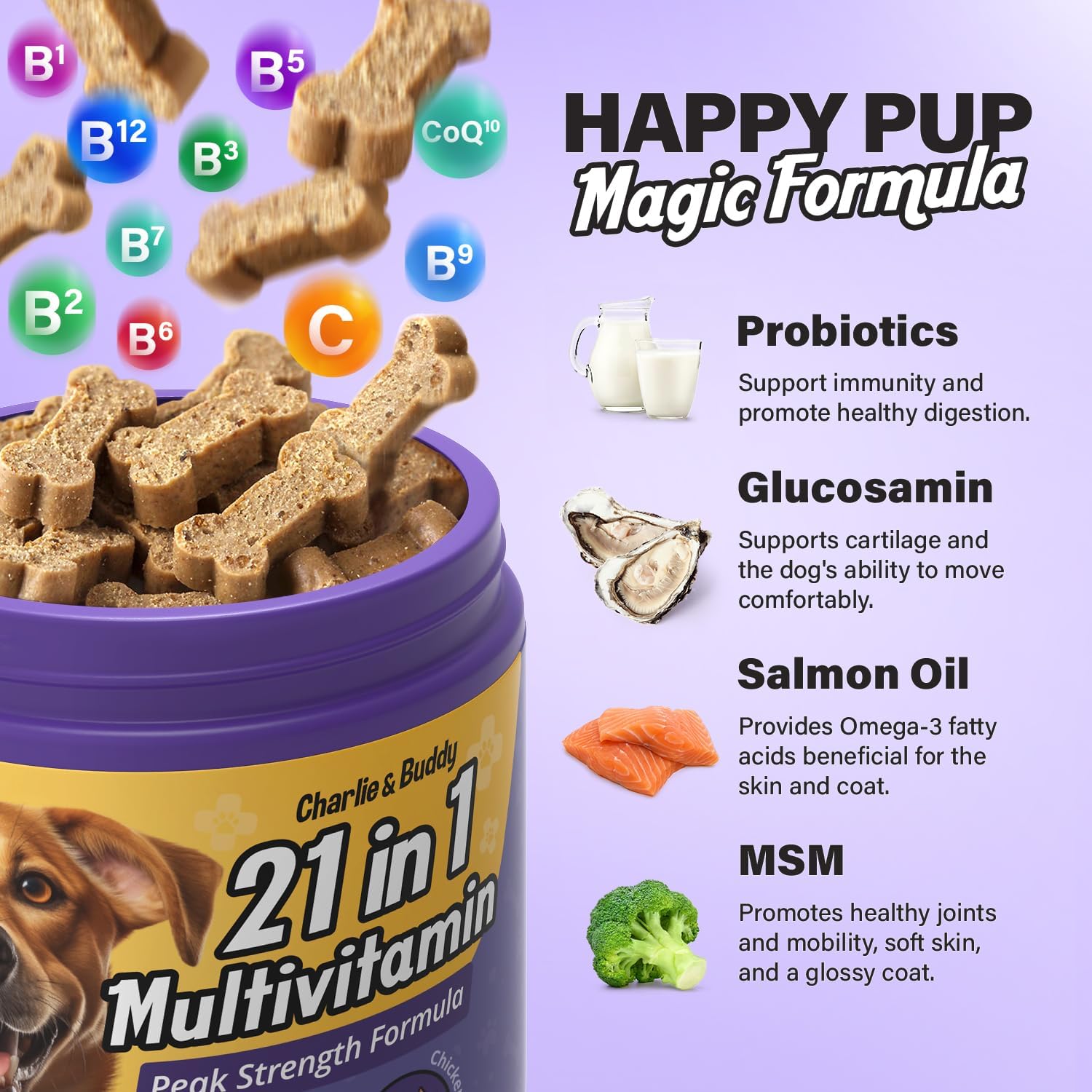 Chicken Flavour Dog Multivitamin Soft Chews - 90ct - 21 in 1 Dog Vitamins with Vitamin C for Dogs - Buddy & Charlie Supplement