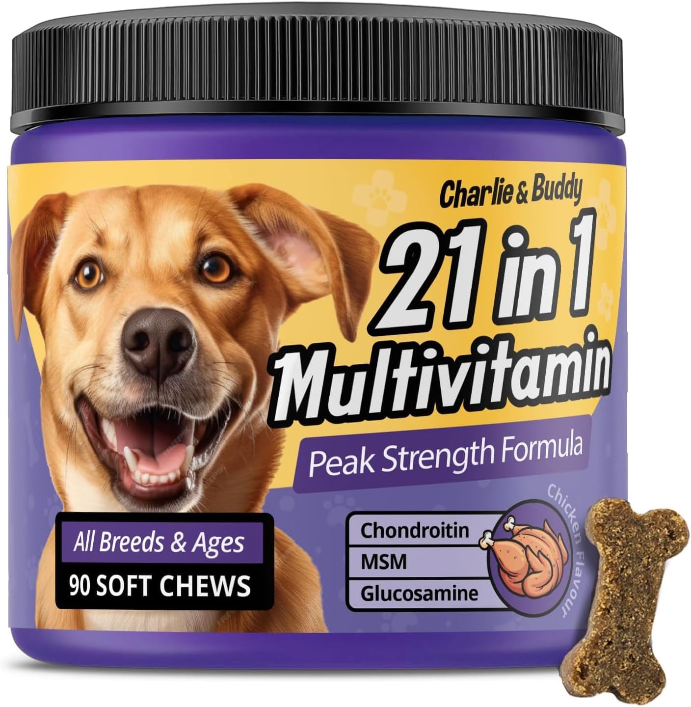 Chicken Flavour Dog Multivitamin Soft Chews - 90ct - 21 in 1 Dog Vitamins with Vitamin C for Dogs - Buddy & Charlie Supplement