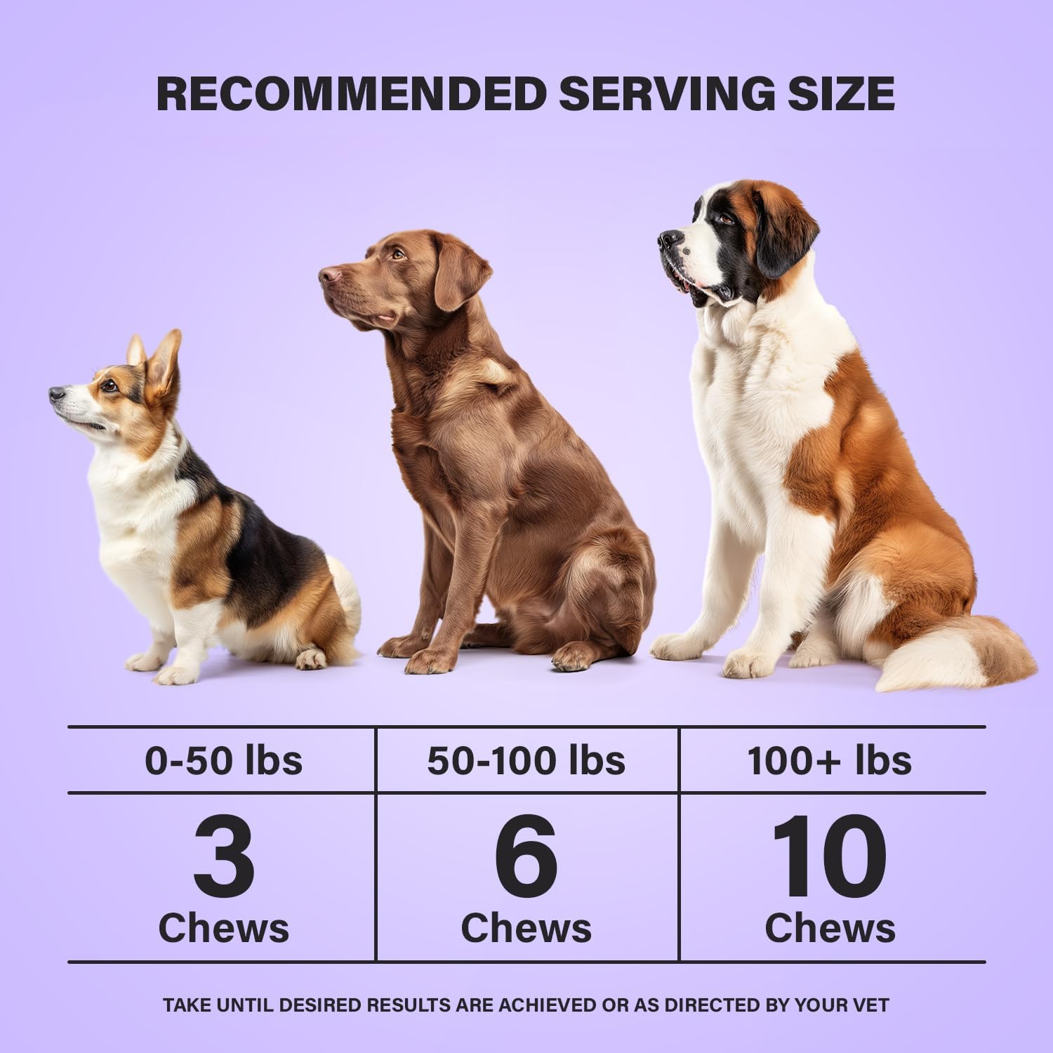 Chicken Flavour Dog Multivitamin Soft Chews - 90ct - 21 in 1 Dog Vitamins with Vitamin C for Dogs - Buddy & Charlie Supplement