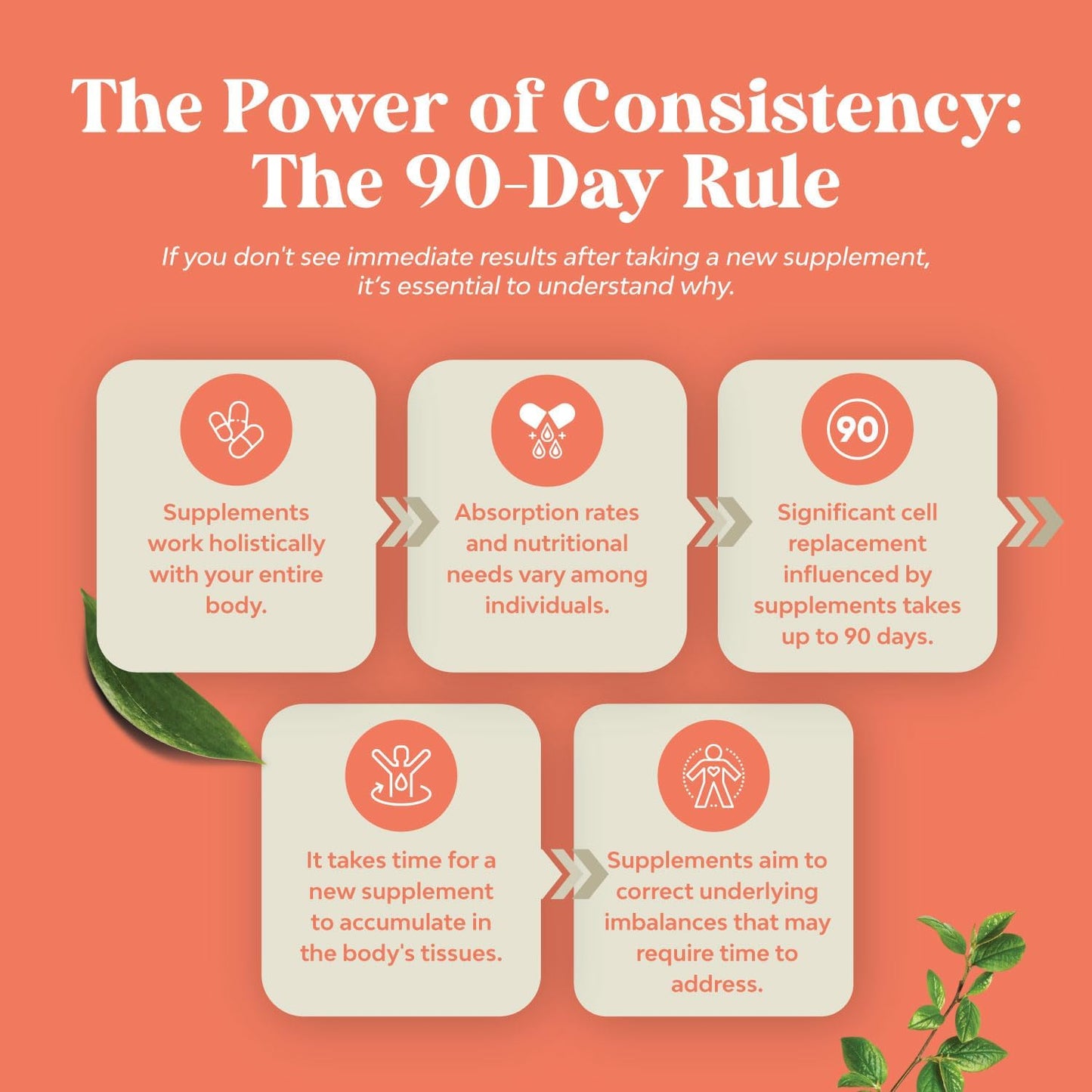 Chicory Root Fiber Gummies for Adults - Prebiotic Gut Health Support - Soluble Digestion Capsules - Sugar Free Vegan Supplement - 120 Count