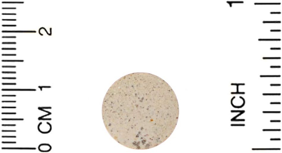 Children's Brain Support Supplement - Multivitamin for Focus with Trace Minerals, Enzymes & Vitamins - Fruit Punch Flavor, 60 Chewable Wafers