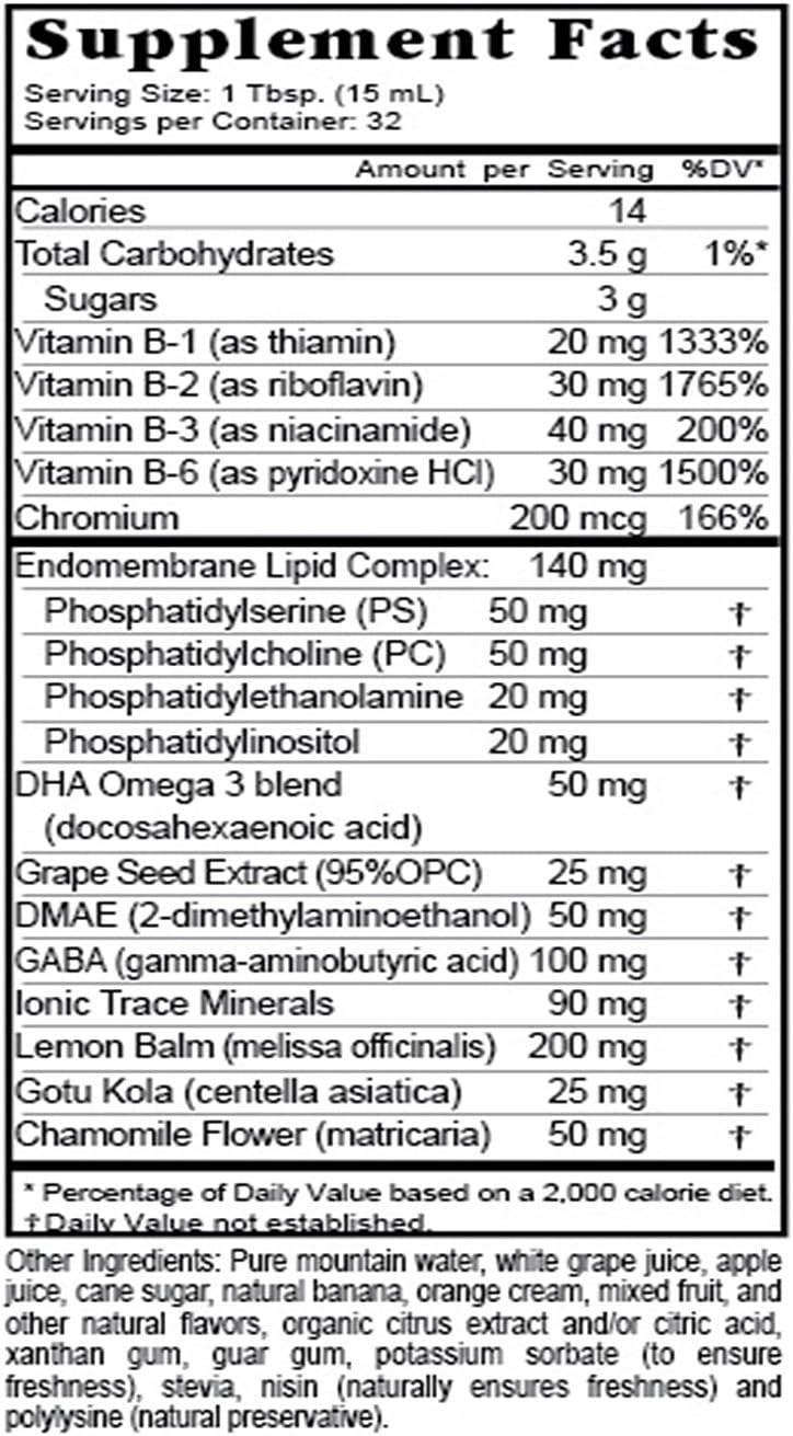 Children's Learning Support Drink - 16 oz - 3 Pack - Boosted Focus & Attention - Buried Treasure