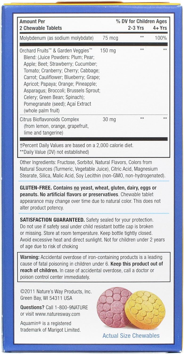 Children's Multivitamin Chewables - Nature's Way Alive, 120 Tablets