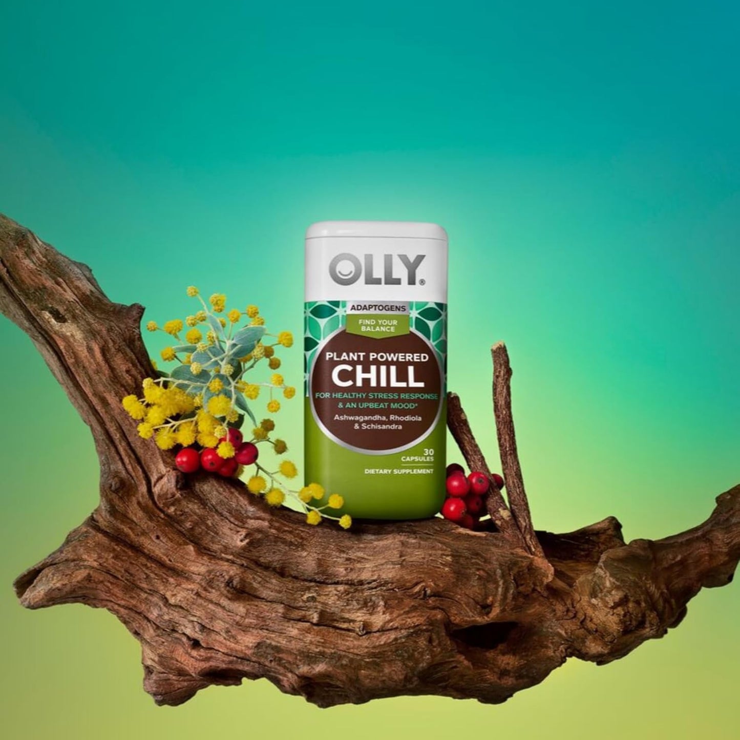 Chill Adaptogen & Ashwagandha Mood Support Supplement with Rhodiola Root - 30 Vegetarian Capsules