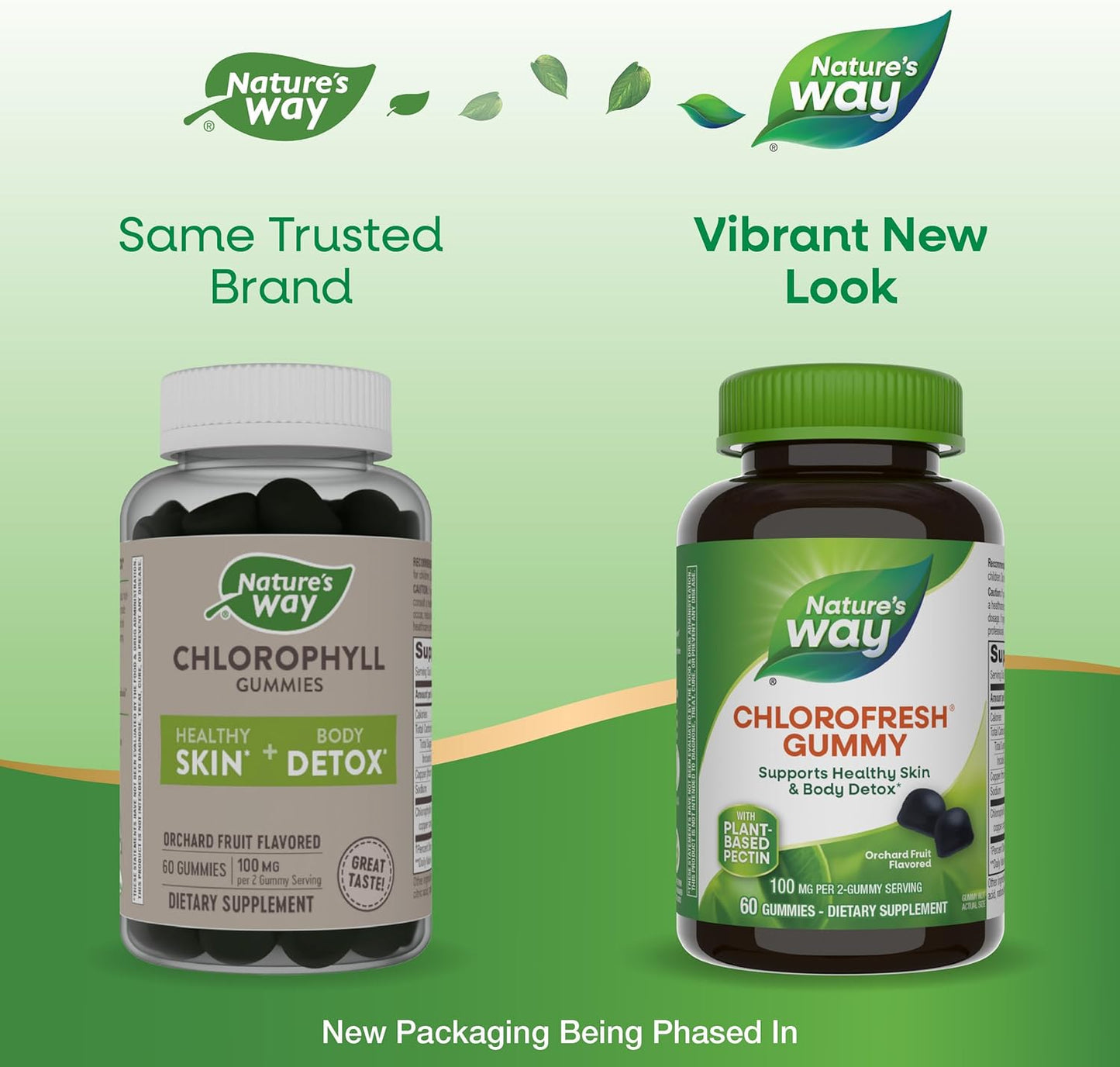 Chlorofresh Chlorophyll Gummies - Supports Healthy Skin & Body Detox, Internal Deodorant - Orchard Fruit Flavor, 60 Gummies