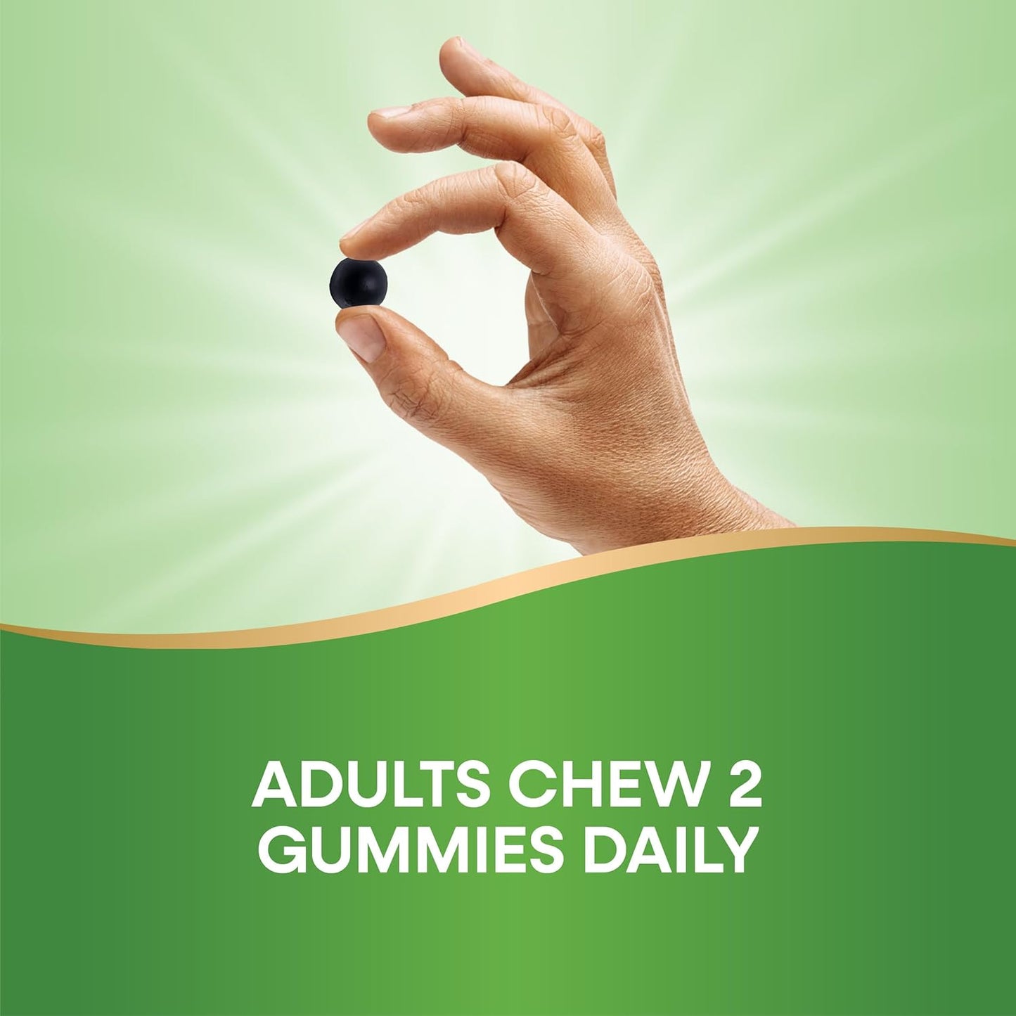 Chlorofresh Chlorophyll Gummies - Supports Healthy Skin & Body Detox, Internal Deodorant - Orchard Fruit Flavor, 60 Gummies